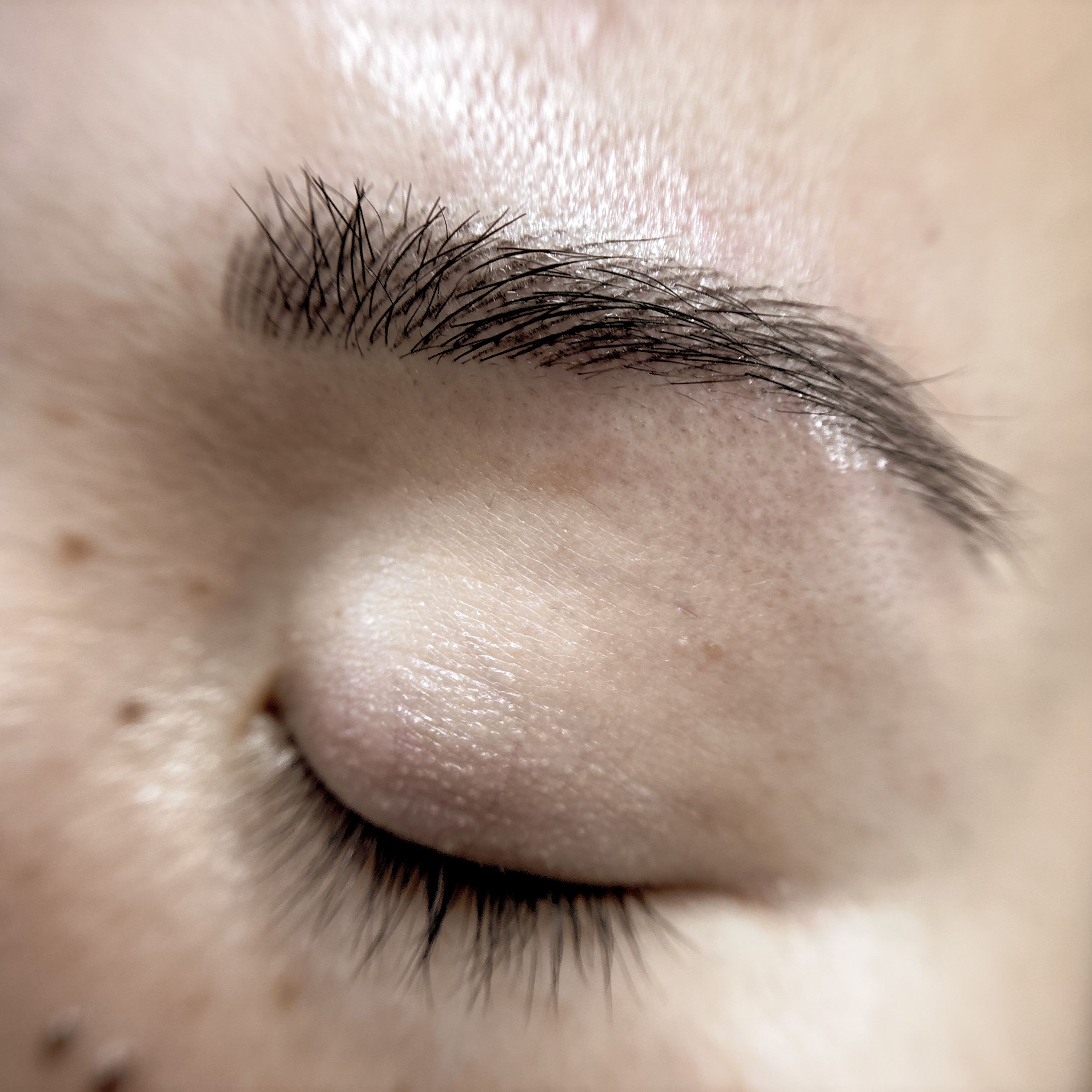 Luxury Nano Brows in action 🎥