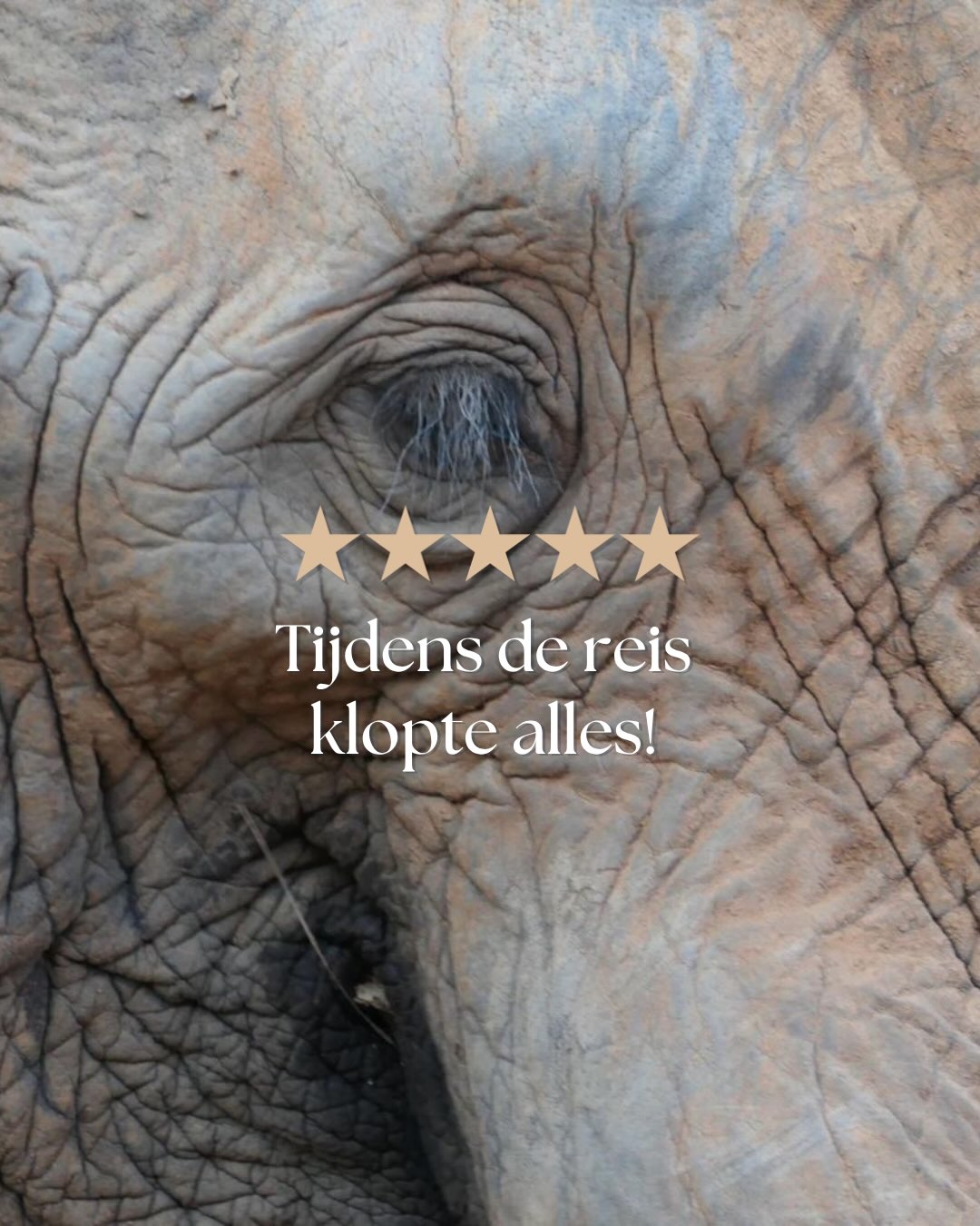 Hier worden we dus heel blij van. 🤎
“Tijdens de reis klopte alles!”
Een mooiere review kunnen we eigenlijk niet krijgen. Want precies dát is wat we willen: een reis waarbij je onderweg nergens over hoeft na te denken en gewoon kunt genieten.
Dankjewel voor deze lieve woorden! 🐘🌍
#zuidafrika #reisopmaat #droomreis #safari #reisinspiratie