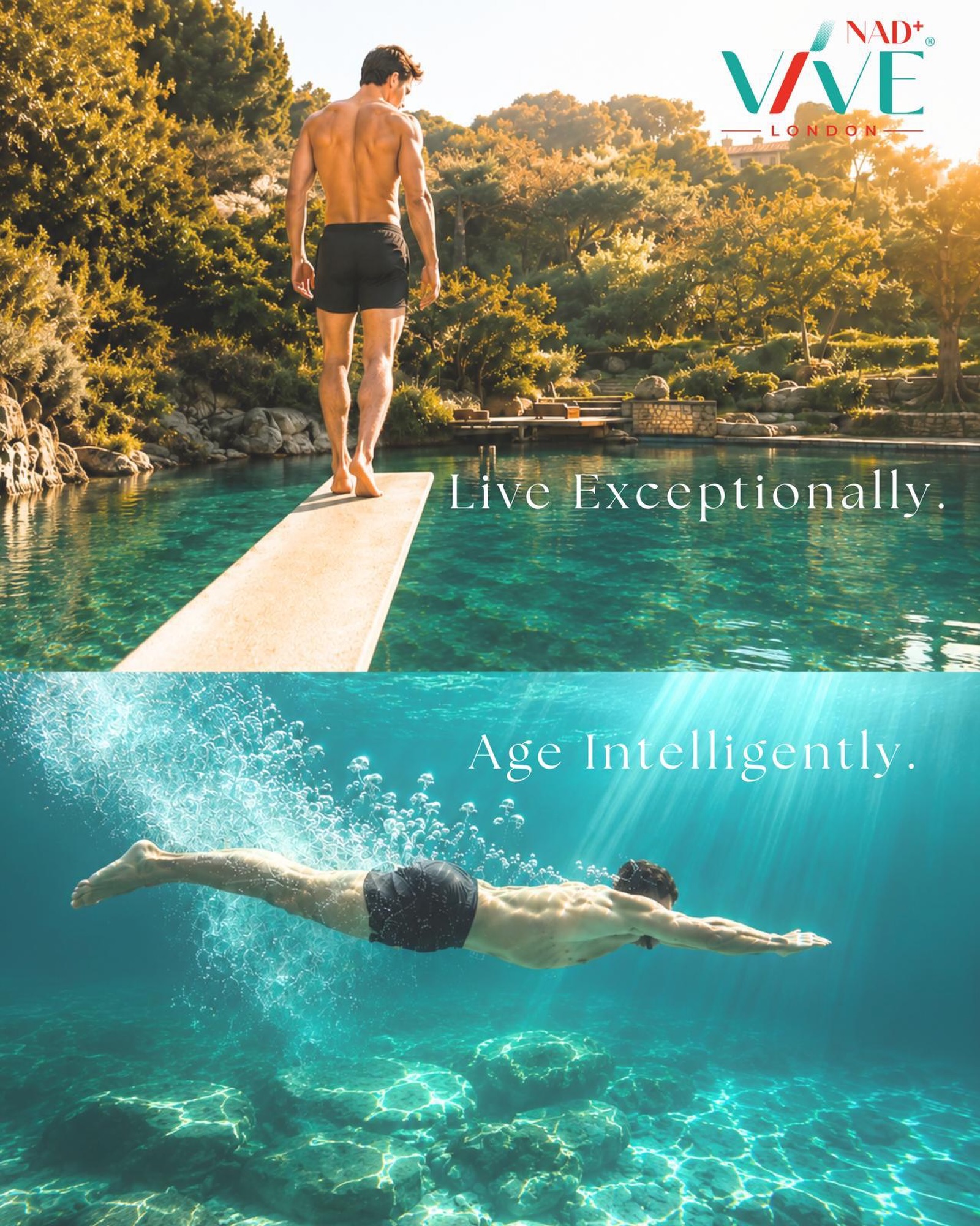 Live exceptionally. Age intelligently.
Longevity isn’t about chasing youth. It’s about investing in how you feel, perform and live- today, tomorrow and for the years ahead.
More energy. Better recovery. Greater resilience. The freedom to keep doing more of what makes life extraordinary.
At VIVE-NAD+, we believe intelligent ageing is about supporting your body at a cellular level, so you can continue to live life at full capacity.
Because the goal isn’t simply to live longer.
It’s to live better.
VIVE-NAD+
INTELLIGENT AGEING.
#VIVENAD #IntelligentAgeing #NADPlus #Longevity #HealthyAgeing OptimiseYourHealth Wellness LiveExceptionally