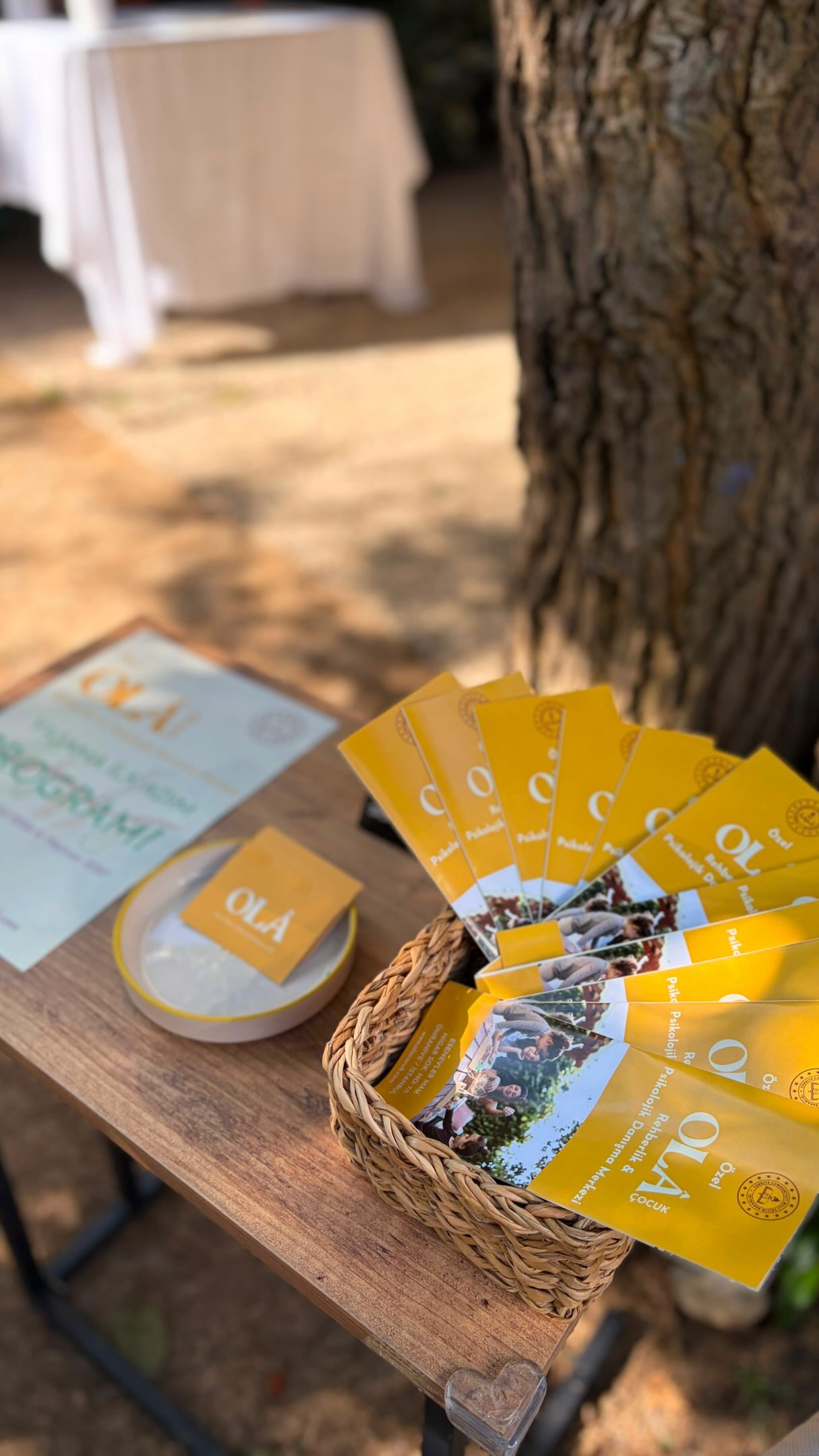 Tanışma günümüzden anlar 🌿💛
Çocuklar ve ailelerle bir araya geldik; tanıştık, oyun alanımızı keşfettik, birlikte oynadık ve bol bol sohbet ettik. ✨
Yaşama İlk Adım Programı® 7 Eylül’de başlıyor! 💛
Detaylı bilgi ve kayıt için bize ulaşabilirsiniz.
📞 0543 738 63 43