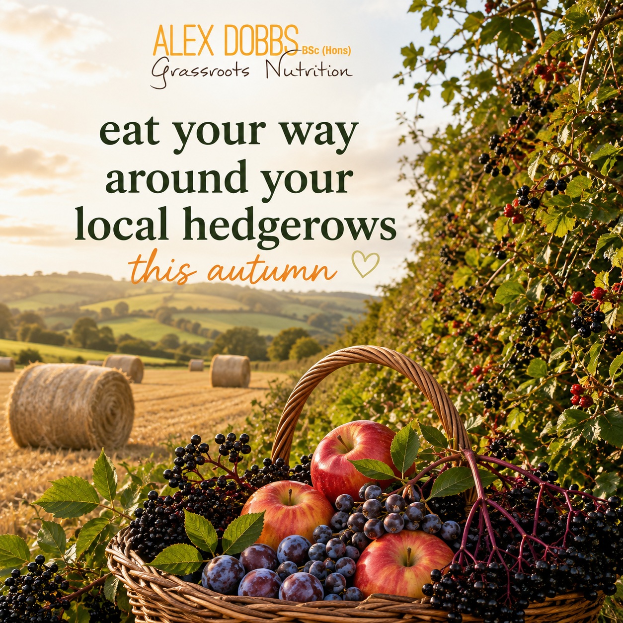 Autumn is a great time for wild fruit in Ireland. I love spending time in the outdoors gathering ripe fruit to cook at home.
I'll be posting some of my favourite autumn recipes in the coming weeks ... keep checking back.
#hedgerowjam #autumn #berries #eatlocal #autumnberries