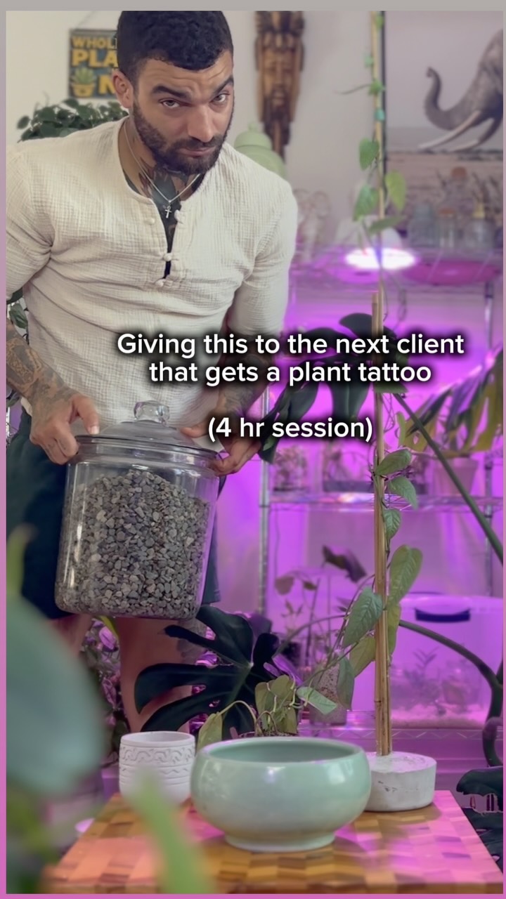 PLANT PEOPLE ONLY🪴💚
#fyp #tattoo #planttattoo #plants