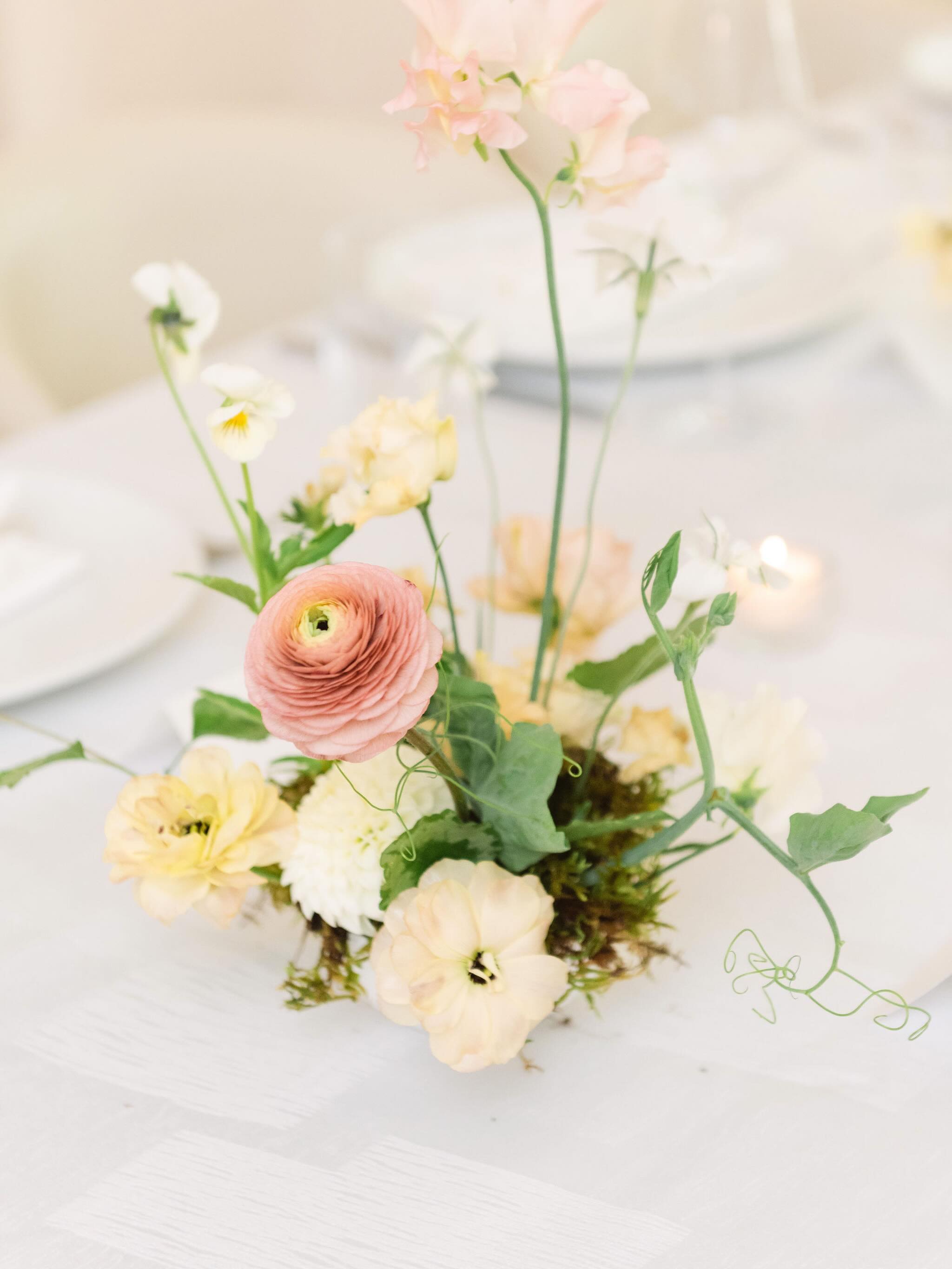 From a fun little flower-filled bachelorette workshop, to her beautiful bridal shower, and soon⦠her October wedding.
Thereβs something so special about being trusted to be part of all the celebrations leading up to such a meaningful day.
It means more than I can put into words to have a client invite me into these little chapters of her story β to create flowers, memories, and moments along the way.
So grateful to be along for the ride, and already counting down to October.
ty: @sarahgaristo π€
photography: @thehouseoflaine
venue: @petros82.to