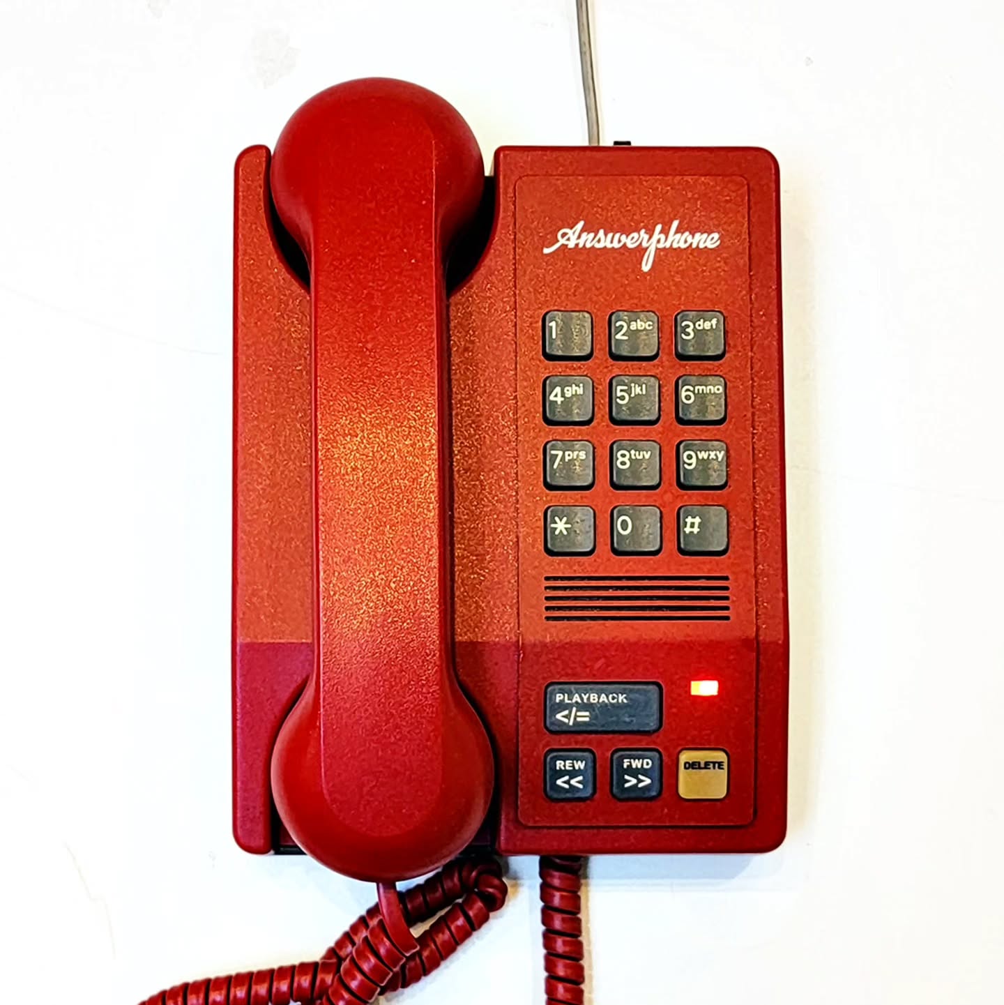 the "answerphone" for Remarkably Bright Creatures