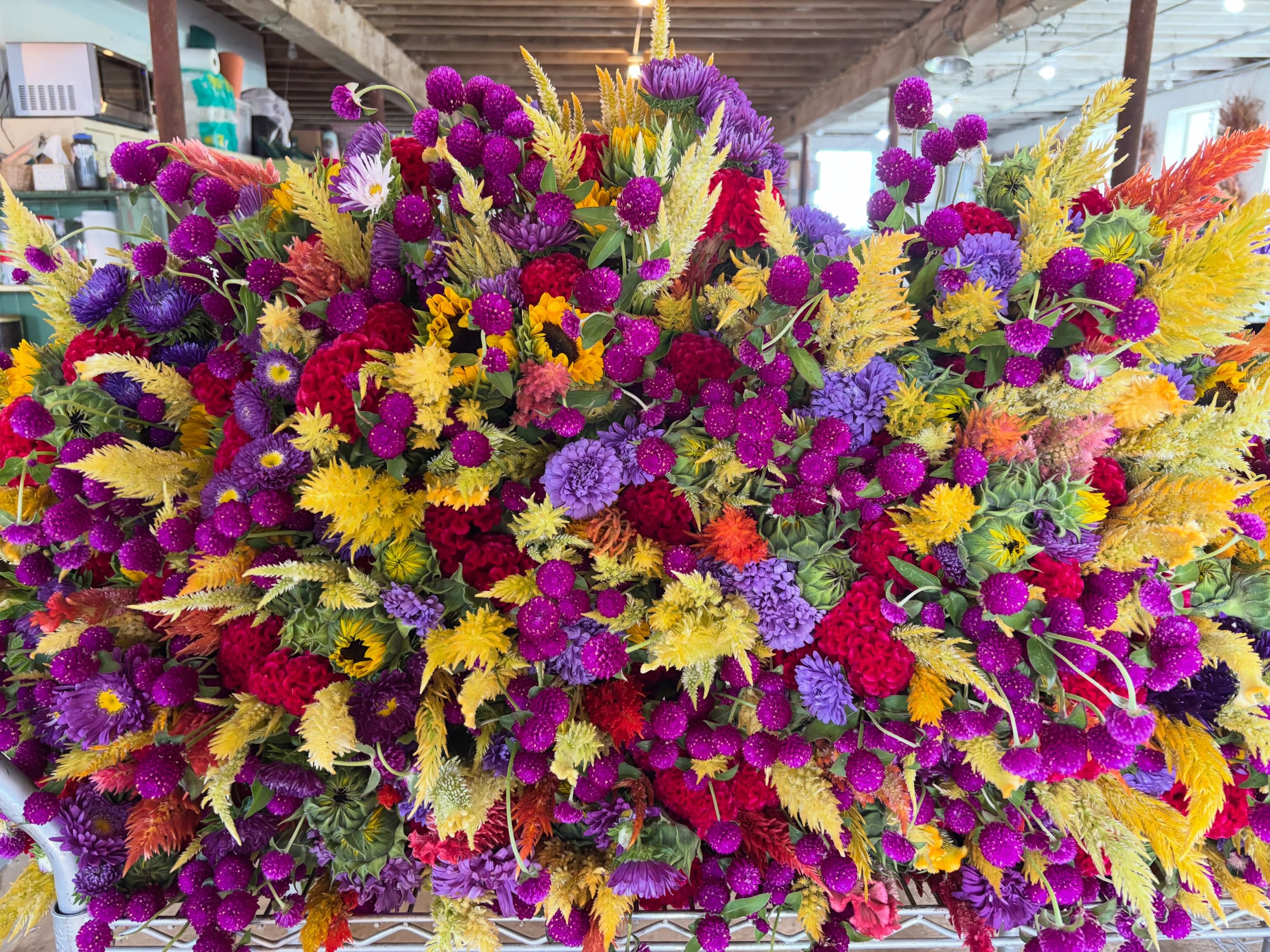 Bright for Wegmans.
Juicy romances for Bouquet Club.
Height of summer color saturation both ways.
Club members: don’t forget your pickups!
