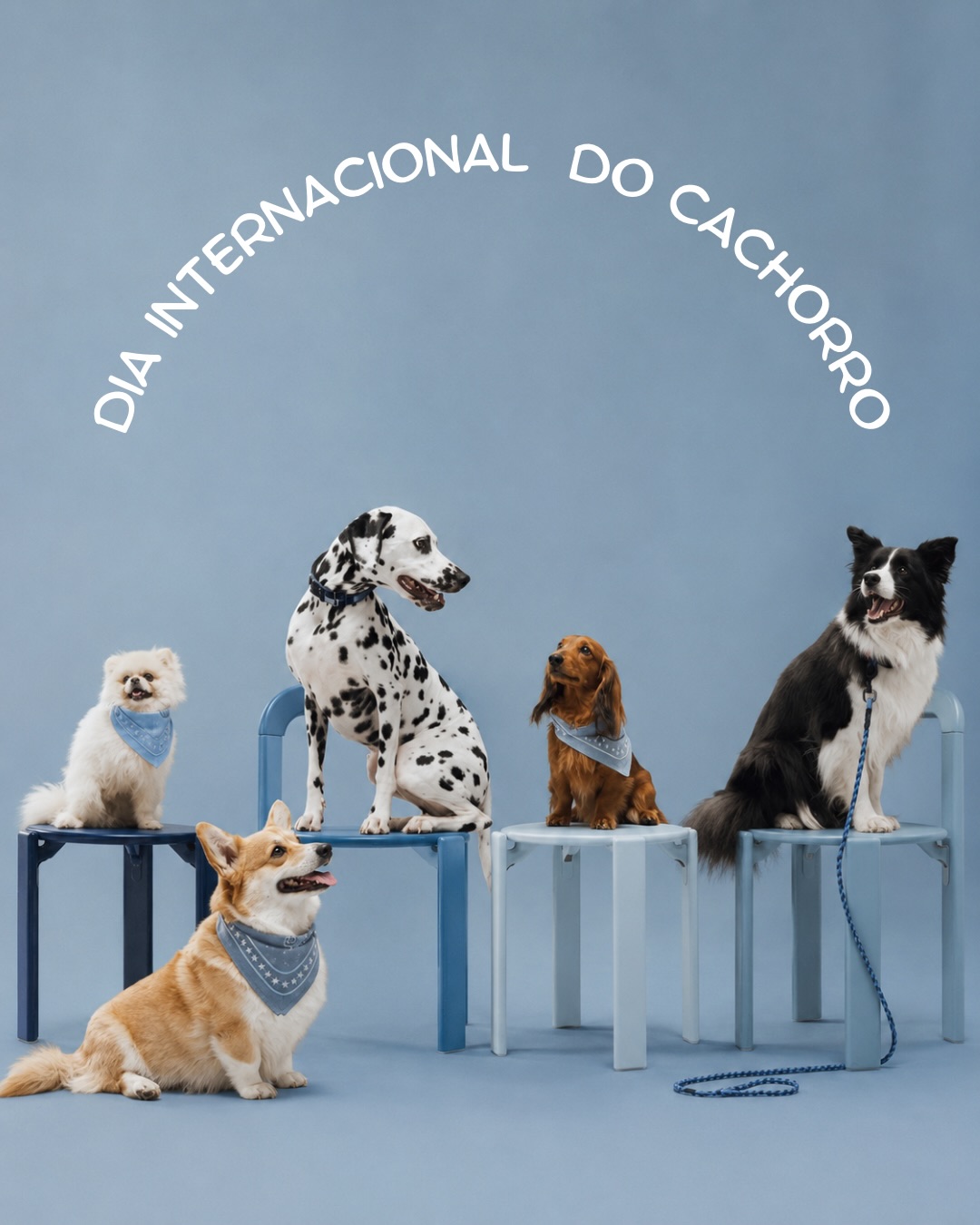 Tem cachorro que te espera na porta.
Tem cachorro que percebe quando você não está bem.
Tem cachorro que muda o seu dia… só por estar ali.
Eles fazem parte da rotina, dos momentos simples, das pequenas pausas que deixam tudo mais leve.
Estão presentes sem esforço, sem cobrança, só com aquele jeito único de acompanhar a vida ao seu lado.
Hoje é dia de quem transforma o comum em especial todos os dias.
Feliz Dia Internacional do Cachorro 🐾💛
#DiaDoCachorro #AmorDeCachorro #Petplace #ConexãoReal #RotinaComPet