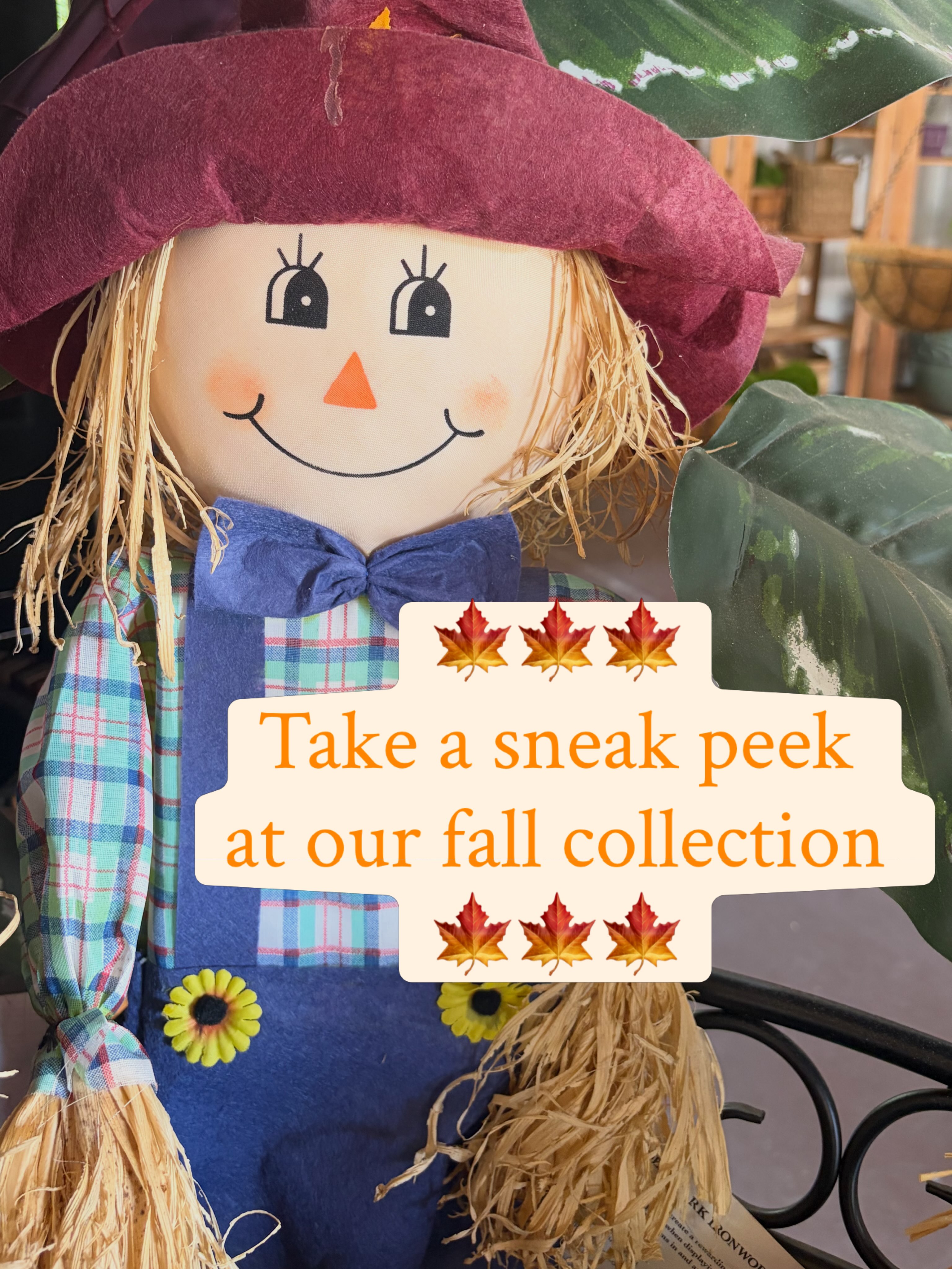 Fall begins on September 22nd, exactly one month from now ๐ Stop by for some early Halloween shopping๐ #groffs #falldecor #homedecorating #shopsmall #harvest