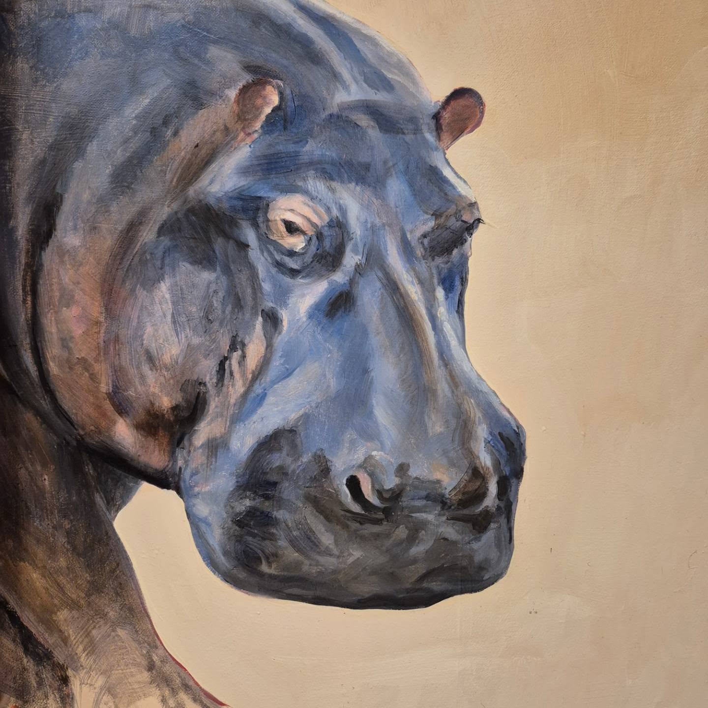 Hippo detail. Oil on canvas. Keeping it fluid with glazes. #oilpainter #oiloncanvas #wildlifeart #animalart