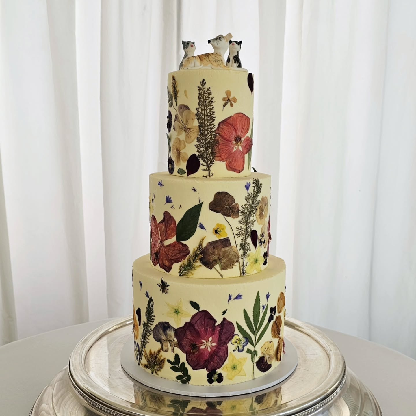 Sadie ๐ค James
Three beautiful buttercream tiers decorated with some gorgeous fresh edible flowers in muted shades ๐ค๐๐
.
Venue : @parley_manor
Edible flowers : @nurturedinnorfolk
.
#edibleflowers
#edibleflowercake
#edibleflowerweddingcake
#dorsetcakemaker
#blossomdreamcakes