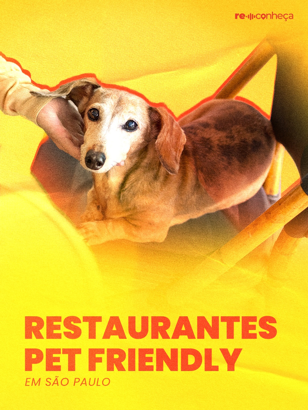Quem disse que você precisa deixar seu melhor amigo em casa para aproveitar a gastronomia paulistana?
São Paulo tem cada vez mais restaurantes pet friendly que recebem os animais com carinho, conforto e até mimos especiais. De cafés aconchegantes a pizzarias, restaurantes italianos e culinárias cheias de personalidade, opções não faltam para um passeio completo ao lado do seu companheiro de quatro patas.
📍 Na lista:
• @zenacucina
• @soffiopizzeria
• @redcoffeebr
• @puranaco
• @pretocozinha
• @aecozinha
• @cadillacbbq
Salve este post para o próximo passeio, compartilhe com aquele amigo apaixonado por pets e conte pra gente: qual outro restaurante pet friendly em São Paulo merece entrar na próxima lista? 🐶✨