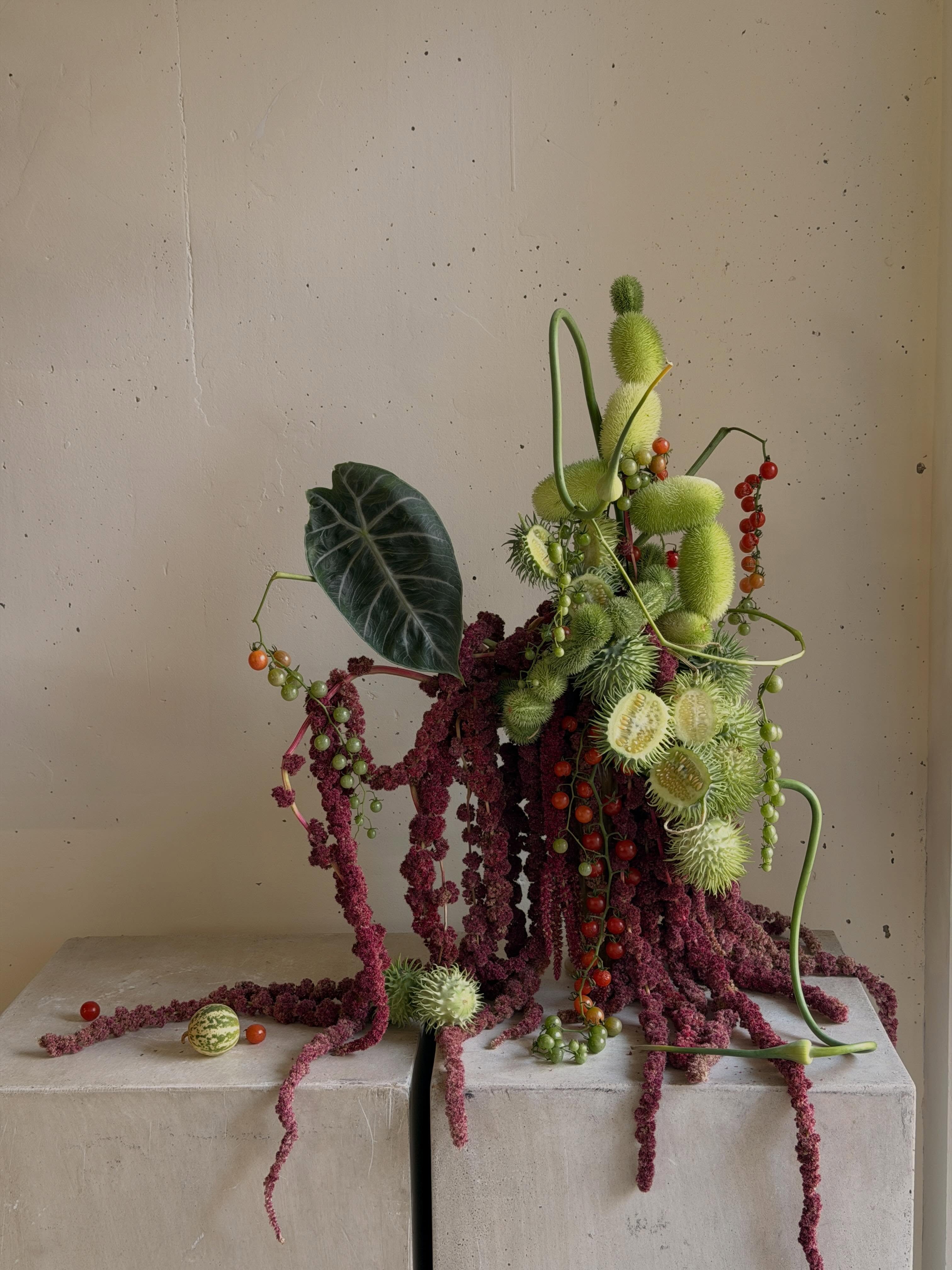 Just a bunch of strange little things I couldnโt resist putting together ๐
๐๐ฆ ๐ฅ
@mays.home.garden
@sunsetfarmsandcabins
@thefarmersrose
@ofgmarketplace