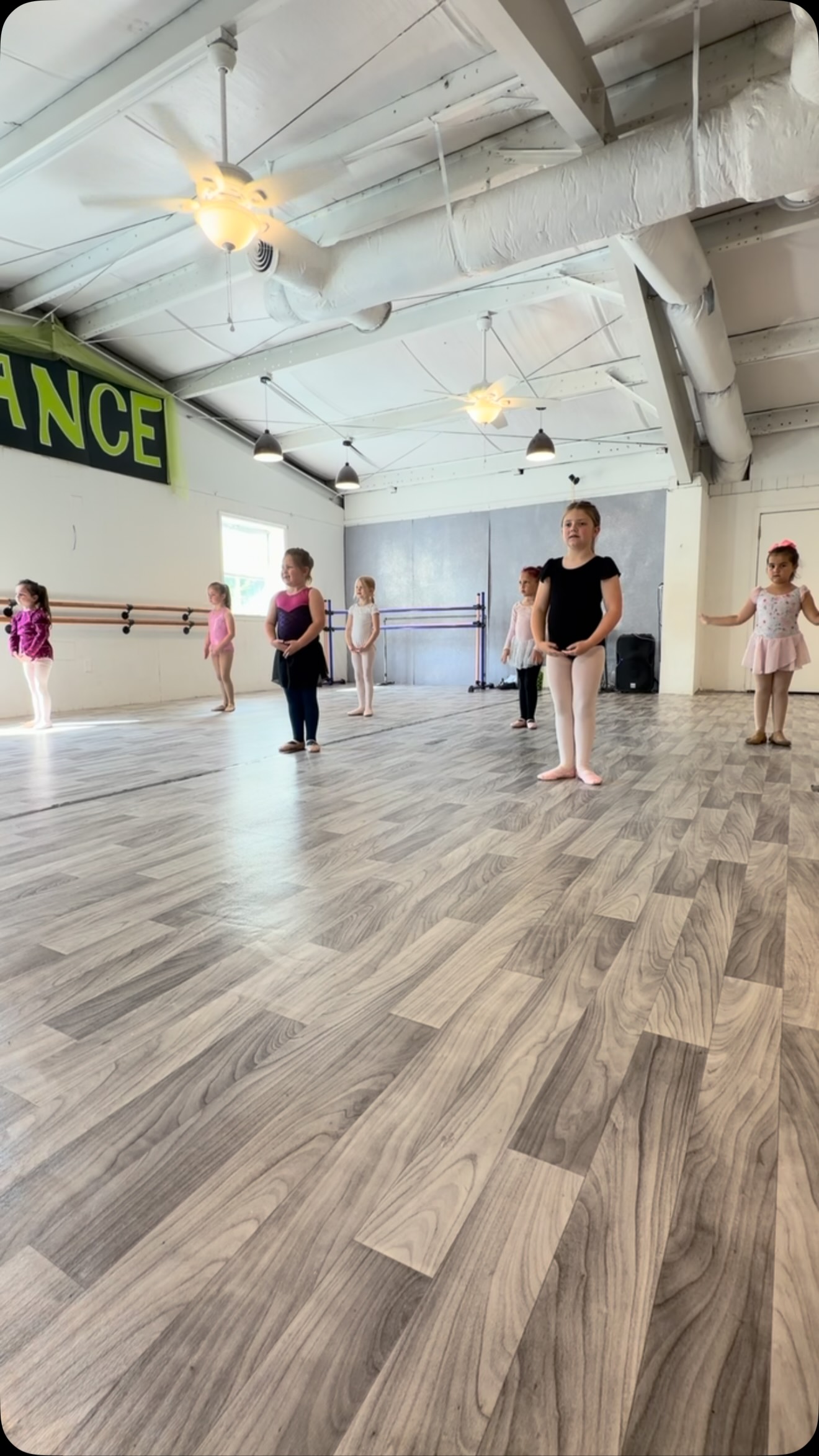 A little ballet magic at KDS ✨🩰 #summervillesc #kellysdance #summervilledancestudio #summervilledance