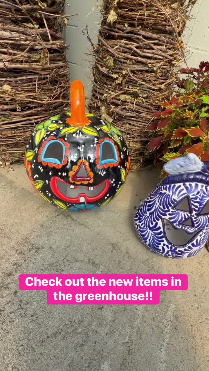 You must come in and see these new items!! #gardendecor #halloweendecor #shoplocal