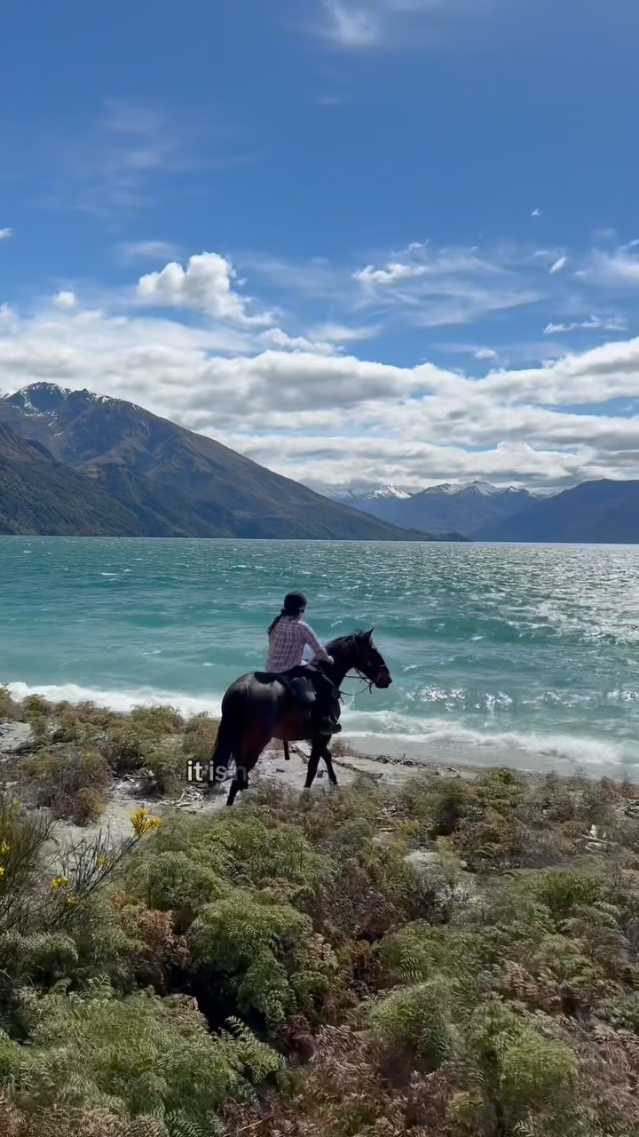 If you book either the “Lake Ride / Big Hill Loop / Hut Ride” there is always a small chance of that bloody Northerly wind.
We are incredibly sheltered on all of our rides, but exactly where you have lunch is where it hits it the hardest. Luckily we have this beautiful spot we can go to which is so cute. It is hidden in the trees, and brings you back in time when someone used to live here.
Its a much better place to have a break for humans and horses.
.
.
.
.
.
#horseridenewzealand #lakewanaka #equestrianholiday #horsetrekking #equestriancommunity