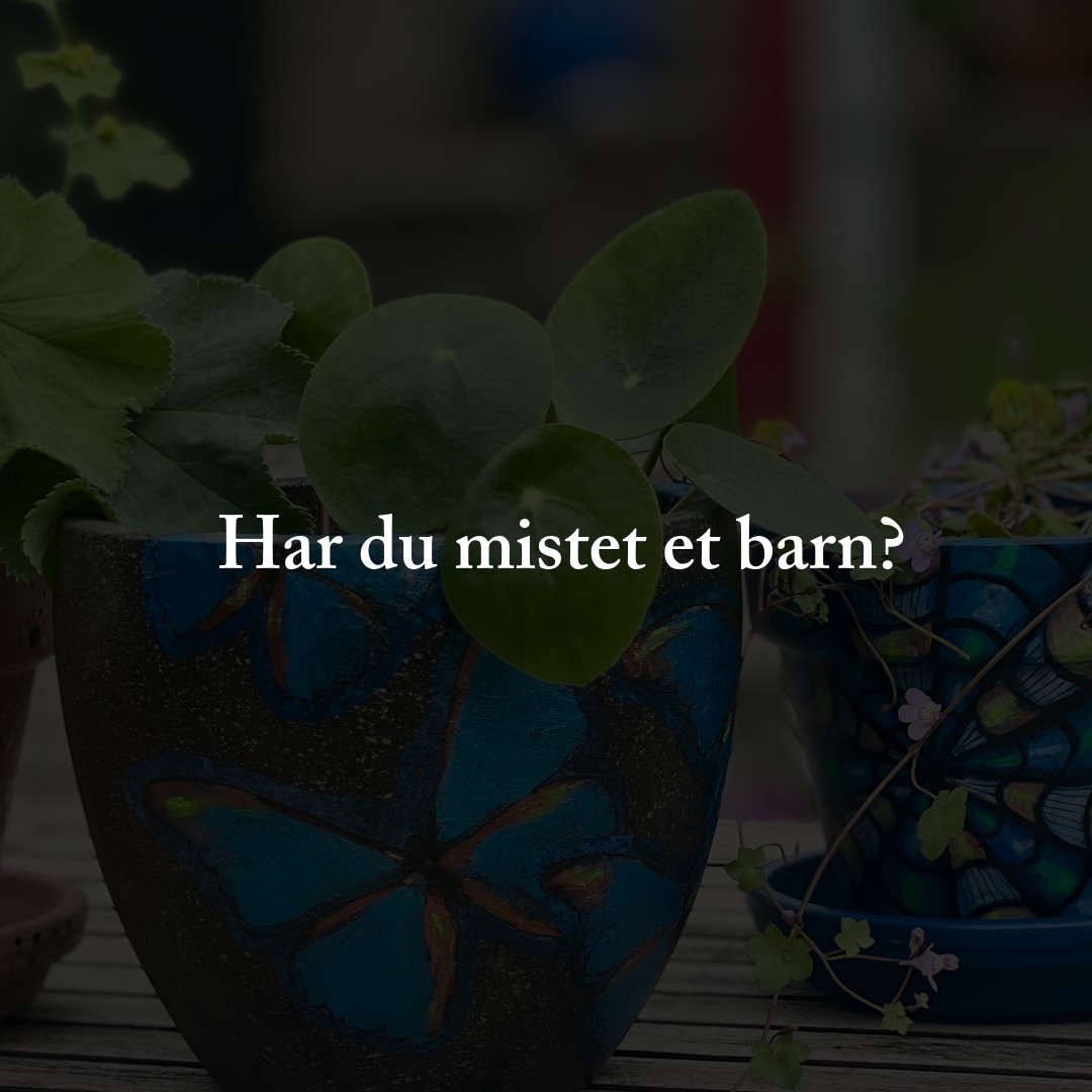 Sammen om Sorg: På onsdag ønsker Hege fra Kunstkompas Vejle sammen med Tina fra Mindernes Hus dig velkommen til et kreativt, trygt og energigivende afbræk i et forstående fællesskab. Du må gerne have deltaget før. Tilmeld dig på mailto:info@minderneshus.dk ❤️