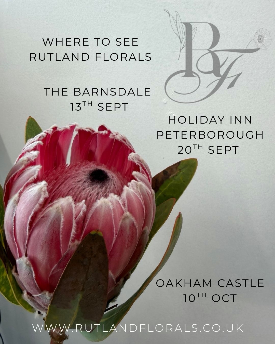 If you’ve been meaning to come and say hello, here’s where you’ll find us this autumn…
We’re taking Rutland Florals on the road, with a few special dates in the diary — and, of course, you can always find us at The Flower Shed at Rutland Garden Village.
You can see us at:
13 September — The Barnsdale
20 September — Holiday Inn Peterborough
10 October — Oakham Castle
And every week at The Flower Shed, Rutland Garden Village, Ashwell:
Wednesday–Saturday | 10am–4pm
Whether you’re looking for wedding flowers, planning a celebration, or simply want to talk flowers, we’d love to meet you.
For flowers that feel like you.
#RutlandFlorist #StamfordFlorist #OakhamFlorist #RutlandWeddings #WeddingFlorist