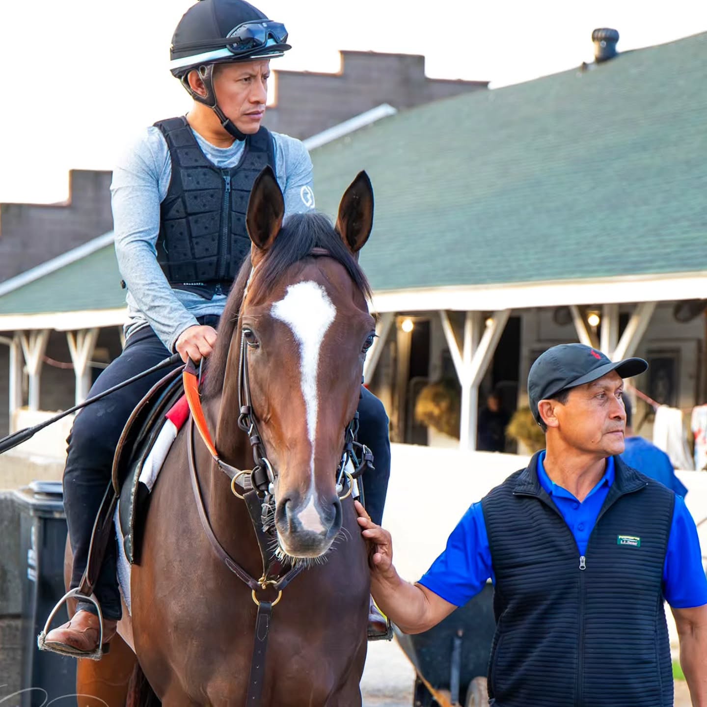 Meet 2yo colt Royce's Law by Tiz the Law out of Causeway Royce (formerly of Romans parish), a Giants Causeway mare. A turf pedigree on his mother's side, he is pointed to his first start this Sunday at @kydownsracing! Can't believe it's KY Downs week already. He is owned by Nancy Delony, Bill Pacella and Frank Shoop. Best of luck to all!!!