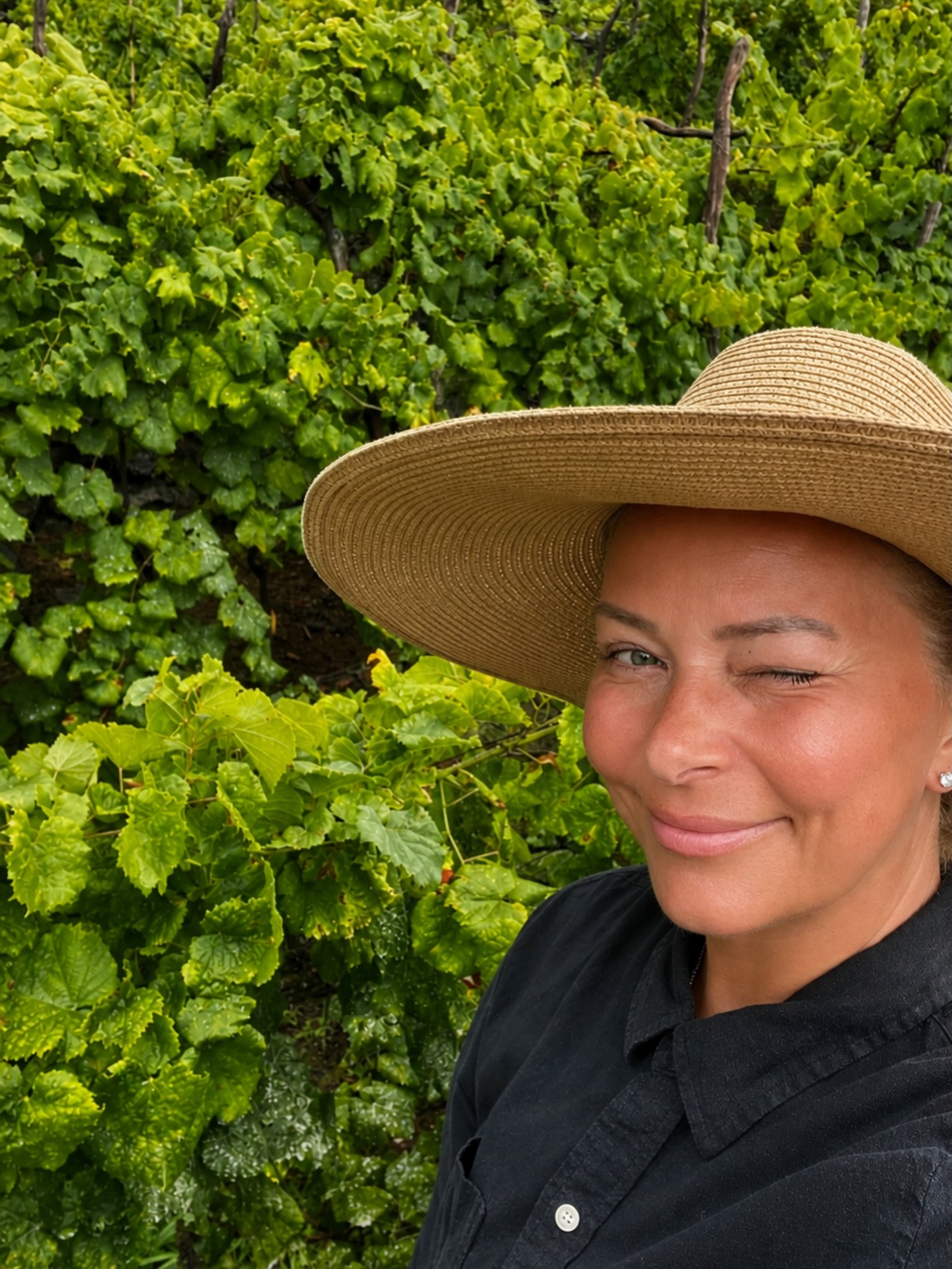 Today we got out into the vineyard at first light, ready to harvest the grapes together.
And then the rain came.
Between the steep green terraces of Madeira, we moved carefully through the vines, our hands reaching through the leaves. We clipped wet clusters from the branches and lowered them into baskets, one by one, while the rain fell around us. The air smelled of wet earth and crushed fruit.
These vines grow on land connected to generations that came before us. My husband’s ancestors have been on this island for hundreds of years, and every year, the grapes are still picked by hand.
Even in the rain.
As we harvested together, I found myself thinking about what it really means to harvest what we’ve grown.
After the grapes are harvested, they’re taken to the wine producer, weighed and tested. And it isn’t just about how many kilos you bring in. The grapes are assessed for their maturity, quality and sugar level.
The biggest harvest isn’t necessarily the best harvest.
It got me thinking about how much that mirrors life.
We’re conditioned to measure our lives by how much we’ve accumulated, accomplished or produced. More money. More success. More followers. More things checked off the list.
But what if the real measure of a season is not how much you produced…
but how much you ripened?
A vineyard can’t be rushed. There are seasons of growth and seasons where everything appears dormant. There is pruning. There are storms. There are years of abundance and years when the harvest is smaller.
And sometimes, the harvest happens in the rain.
Through all of it, the roots remain.
Standing in this little vineyard, harvesting alongside my husband and his mother, reminded me that maybe we’re not supposed to spend our lives constantly chasing the next harvest.
Maybe we’re here to tend what has been entrusted to us.
To honour our roots without being bound by them.
To prune what can no longer come with us.
To trust the seasons when nothing seems to be happening.
To keep showing up when the conditions aren’t perfect.
#familytraditions #ripening #spiritualgrowth #madeira