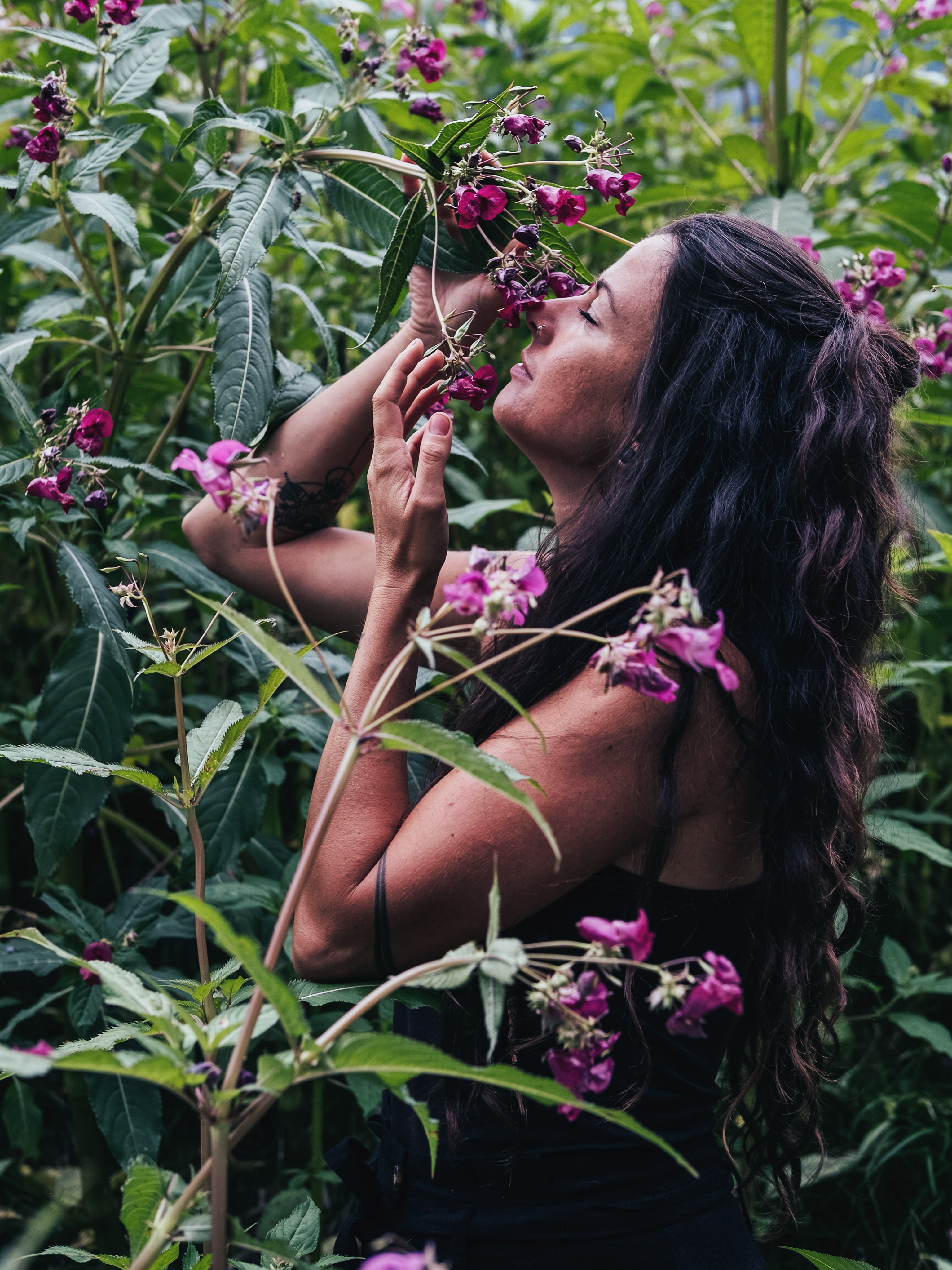 Böse Blicke?
Indisches Springkraut - (Impatiens glandulifera)
Oft erntet es böse Blicke…..weil?
🌸Eigentlich kommt das Indische Springkraut (auch oft Bauernorchidee genannt) aus dem Himalayagebiet. Um 1839 herum wurde es als Garten- und Bienenpflanze nach England importiert! Von dort hat es sich dann über ganz Europa verbreitet und wächst jetzt wild in der Natur.
🌸Das einjährige Springkraut blüht von pink, hellrosa, lachs bis hin zu fast weiß. Es bildet nach der Blüte Fruchtkapseln die dann platzen wenn sie reif sind. Die Pflanze kann seine Samen sogar bis zu 7 m weit schleudern! Wahnsinn oder?
🌸Viele begegnen dem Indische Springkraut nicht freundlich weil es ein Neophyt ist- also ein pflanzlicher nicht heimischer „Eindringling“ der sich schnell vermehrt.
🌸🤍Doch anstatt über diese hübsche und auch nützliche Pflanze gleich herzuziehen , wie wäre es denn sie sich mal genau anzuschauen ganz ohne Vorurteile?
➡️ Bewunderung statt böser Blicke, nutzen statt bekämpfen, verwenden statt ärgern, .... Denn wer diese Pflanze genauer betrachtet, wird auch ihr Potenzial erkennen!
🌸Habt ihr Zb gewusst wie gesund die Samen sind und wie lecker nussig sie schmecken? Roh oder geröstet über den Salat oder in Bratlingen, Pestos... zum Beispiel ☺️ verwendet man die Samen kann sie sich auch gleich nicht mehr so schnell vermehren 😁
🌸Habt ihr gewusst, dass ihr einen tollen pinken Sirup oder ein Gelee aus den Blüten zaubern könnt?
🌸Die Blüten sind auch essbar. Stiele und Blätter bitte aber nicht verzehren!
🌸Bienen und Hummeln
vergöttern das Springkraut! Voll süßem Nektar- und das in der Jahreszeit wo heimische Blumen eher rar sind.
❕Viele Pflanzen die bei uns wachsen waren einst nicht heimisch- Die Kartoffel zb oder die Kanadische Goldrute, die Lupinen oder der Schmetterlingsflieder...
Schon mal die Samen gesnackt?
Müsst ihr umbedingt probieren :-)
(Aber bitte nur wenn ihr die Pflanze richtig bestimmt habt)
Alles Liebe, eure Meli mint
.
Foto @decadeus6
#springkraut #neophyte #pflanzenliebe #bienenpflanze #bee