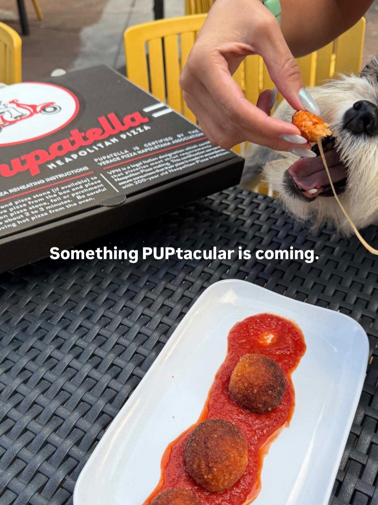 Join us on the patio on #NationalDogDay 8/26 for ALL NIGHT Happy Hour! 🐾
Snap a pic of your pup with anything Pupatella: a slice, a pizza box, your delivery bag, doesn’t matter as long as we see that sweet furry face! 🐶
Then, tag @Pupatella_pizza, and you’re entered to win a $250 gift card. That’s a lot of pizza and arancini for you and your BFF.
Contest ends 9/2. Winner announced 9/3.