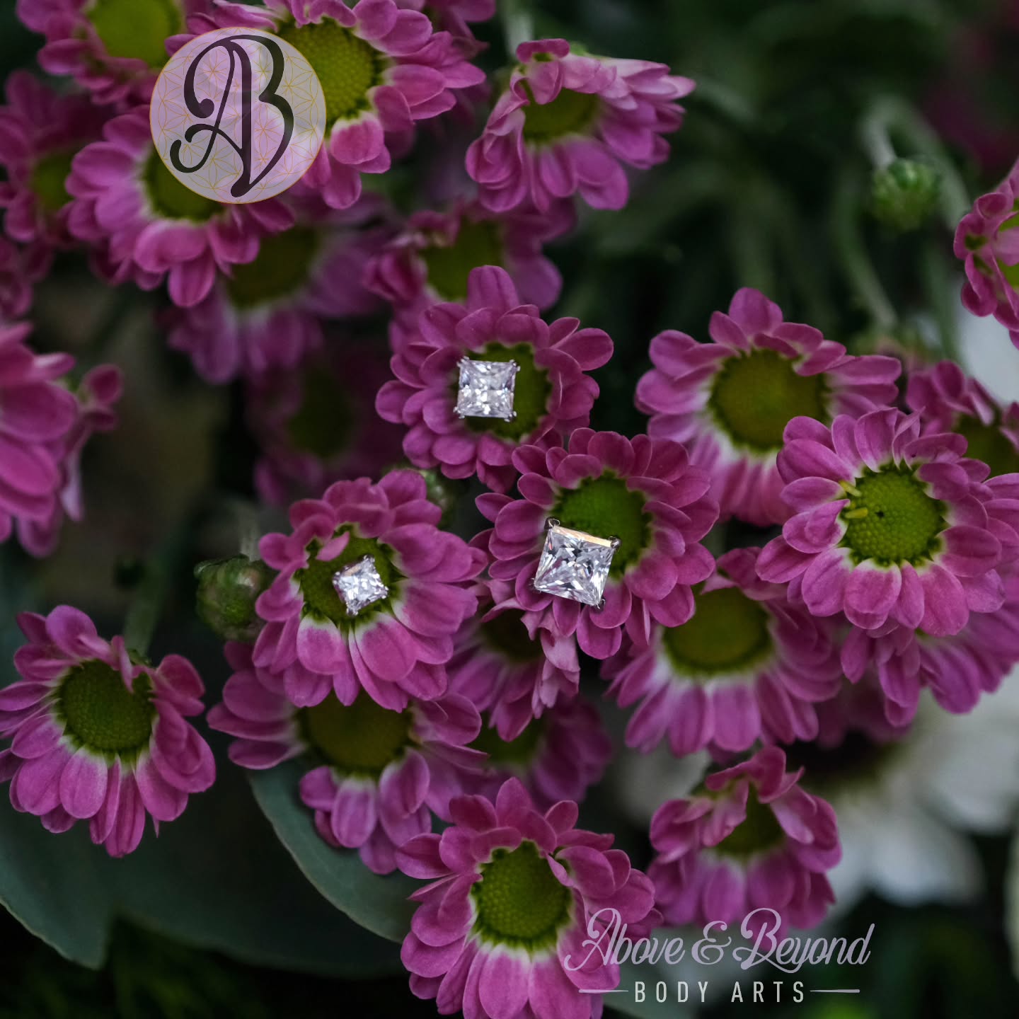 We've been stocking a variety different @neometaljewelry prong gem shapes lately, but haven't showed them all off yet. These Princess (or square) cut have absolutely been a fan favorite for earlobes!
📷: @50percentsnakes
#bodyjewelry #piercing #safepiercing #neometal #santabarbara