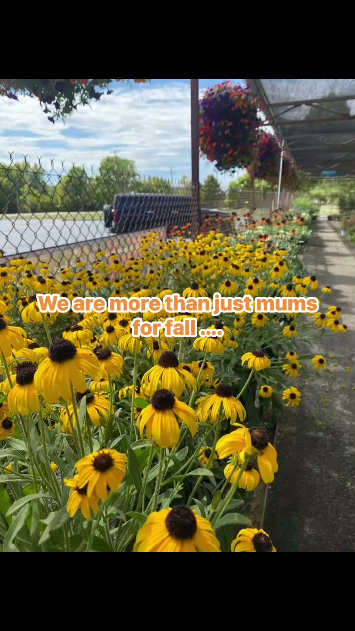 #growbeauty #ohiogreenhouse #plantlove #falliscoming #fallingintofall