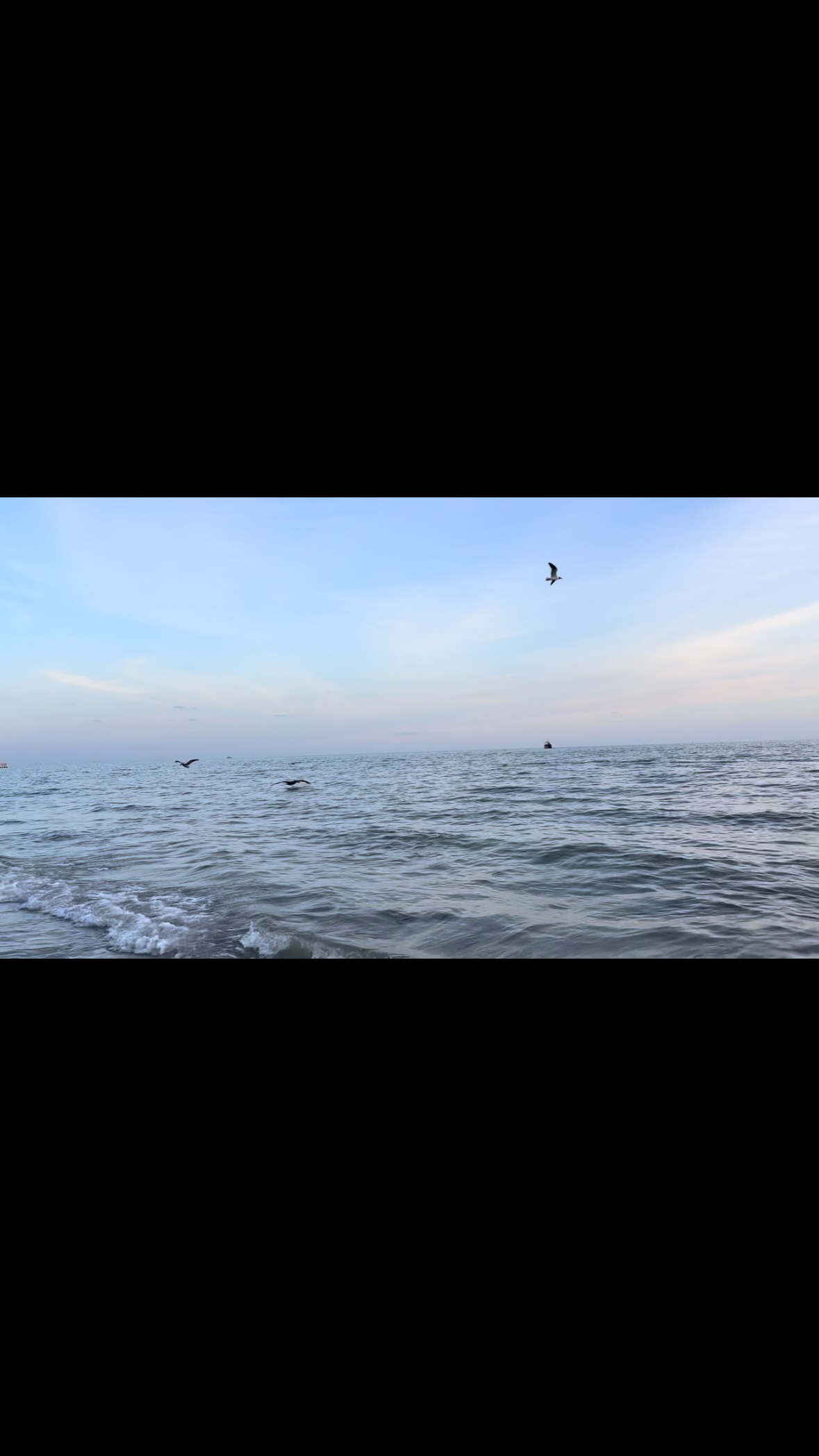 Your Friday afternoon thought from the shore… 🌊
As you step into your weekend, consider this:
What would your weekend feel like if you poured the same energy you’ve spent all week long giving to everybody and everything else… back into YOU?
Refilling your cup.
I mean truly tending to you and your needs…
Letting go of the “shoulds”.
Not focusing on everyone else’s needs.
Just focusing on you, listening inward.👂
Maybe that looks like rest.
Peace.
Calm.
Connection.
Movement.
Joy.
Perhaps a slower morning.
Sitting outside in nature, savoring your coffee or tea. ☕️
Taking a break from social media—a gift of time.
Practicing gratitude.🙏
Or simply giving yourself permission to do less.
Whatever it is that would refill your cup… make room for it this weekend.
And even more importantly, imagine how you might feel as you step into the next workweek—not depleted, but instead replenished.🤔
You don’t need anyone’s permission… just your own.
You are enough.
You have done enough.
You are worthy of self-care.
I see you.
I hear you.
Remember, you can’t pour from an empty cup.
See you at the shoreline!
-Ro 💙🌊
#relaxing #InnerPeace #worthiness #timeforme #centeredbythesea
