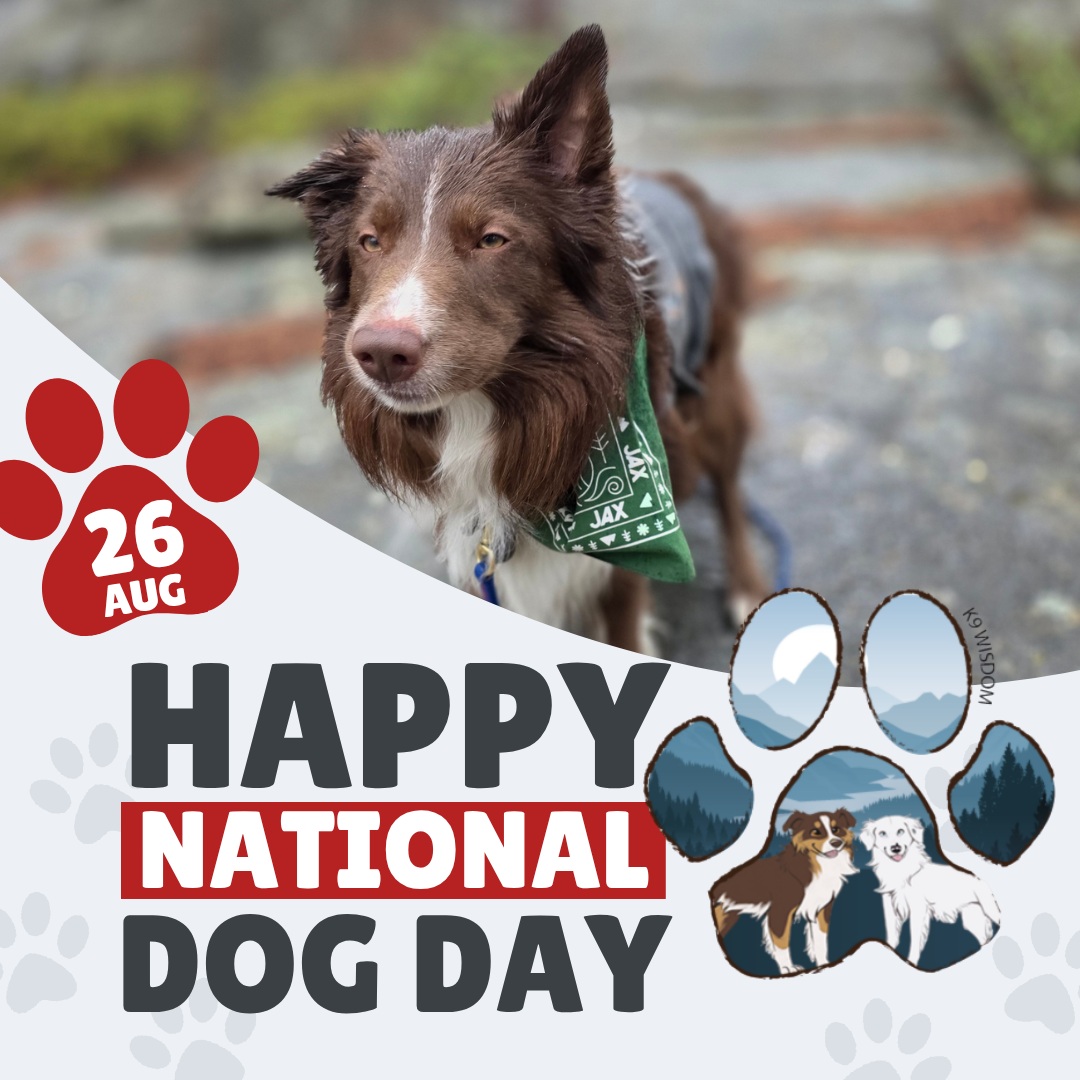 It’s National Dog Day, and we want to see the dogs who make your world better!
Drop your favorite photo of your dog in the comments and tell us your favorite thing about them! Let’s fill this post with some really good dogs.
Around here, dogs are the reason behind everything we do.
Yes, the training matters. The manners matter. The skills matter. But what matters most is what those things give us: more freedom, more trust, more adventures, and more life together.
Because a well-trained dog isn’t the destination. It’s the passport to adventure.
So after you share that photo, put down the phone, grab the leash, and go do something your dog loves.
More muddy paws. Fewer notifications.
Happy National Dog Day from all of us at K9 Wisdom.