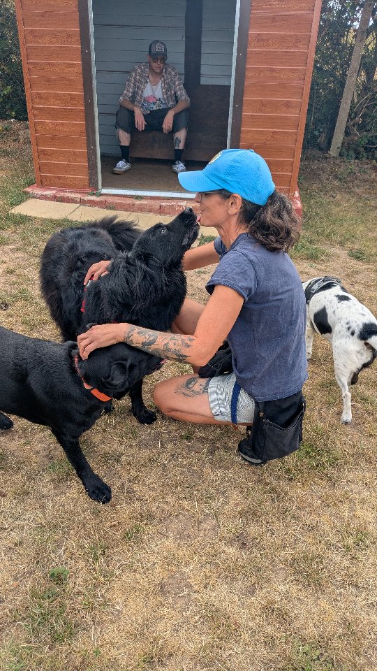 Fun with Aunty Joana in the park!
Making new friends, getting a good run in, and some sneaky licks too.
@muddytrails.dogcoaching