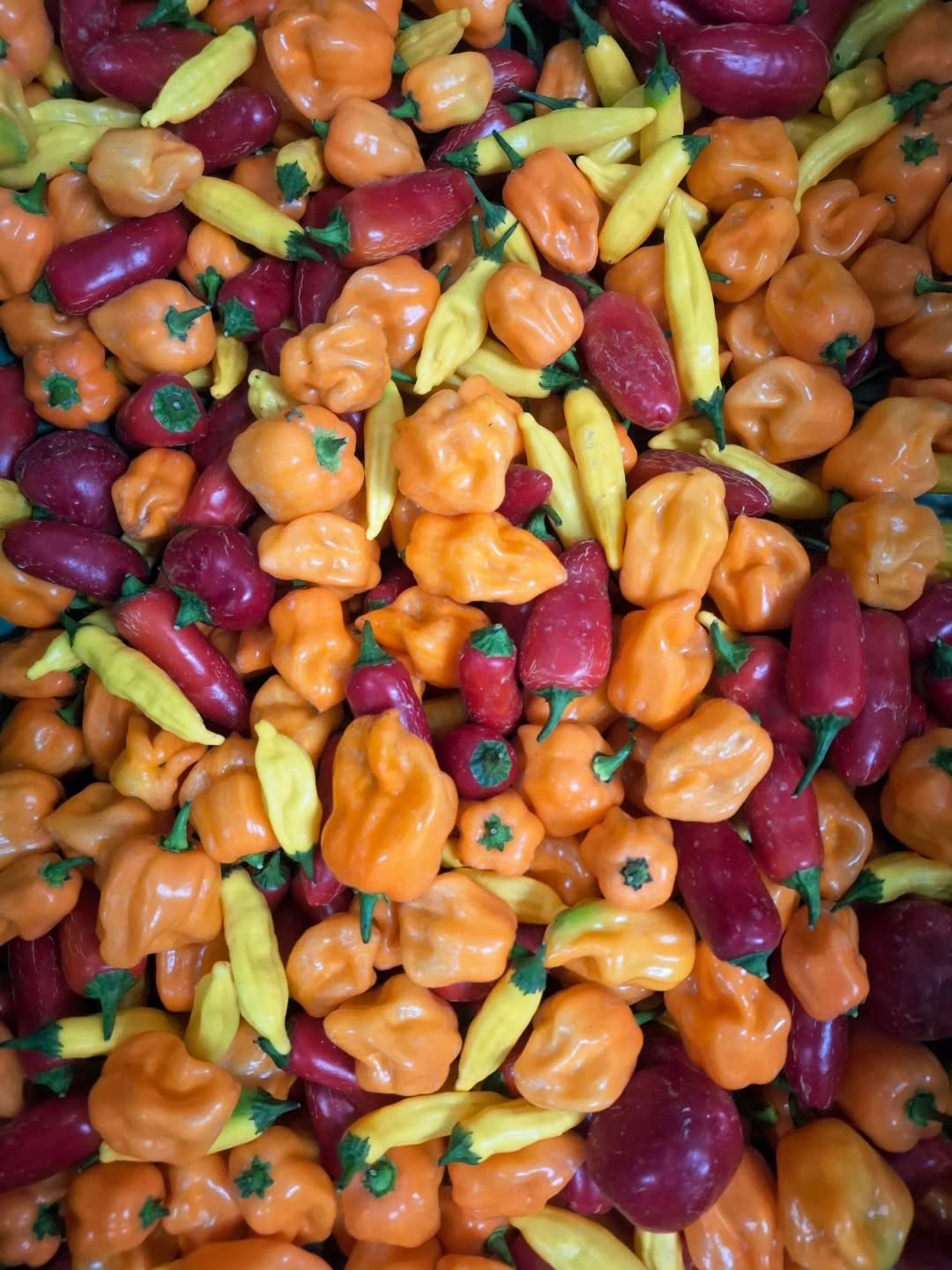 piments and chill