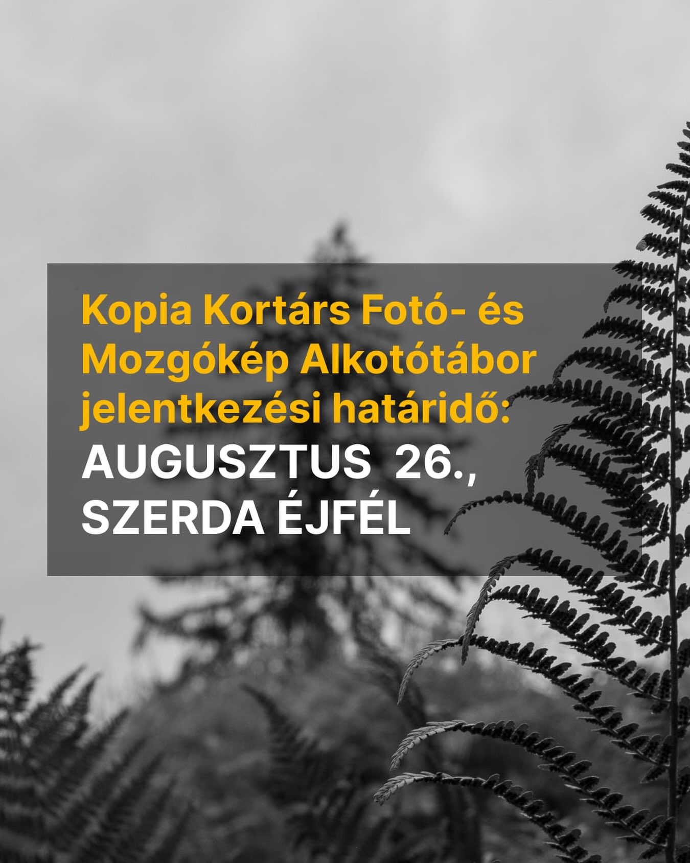 🌿https://forms.gle/2MacbPyoxbGgWXV48 - ezen a linken jelentkezhetsz