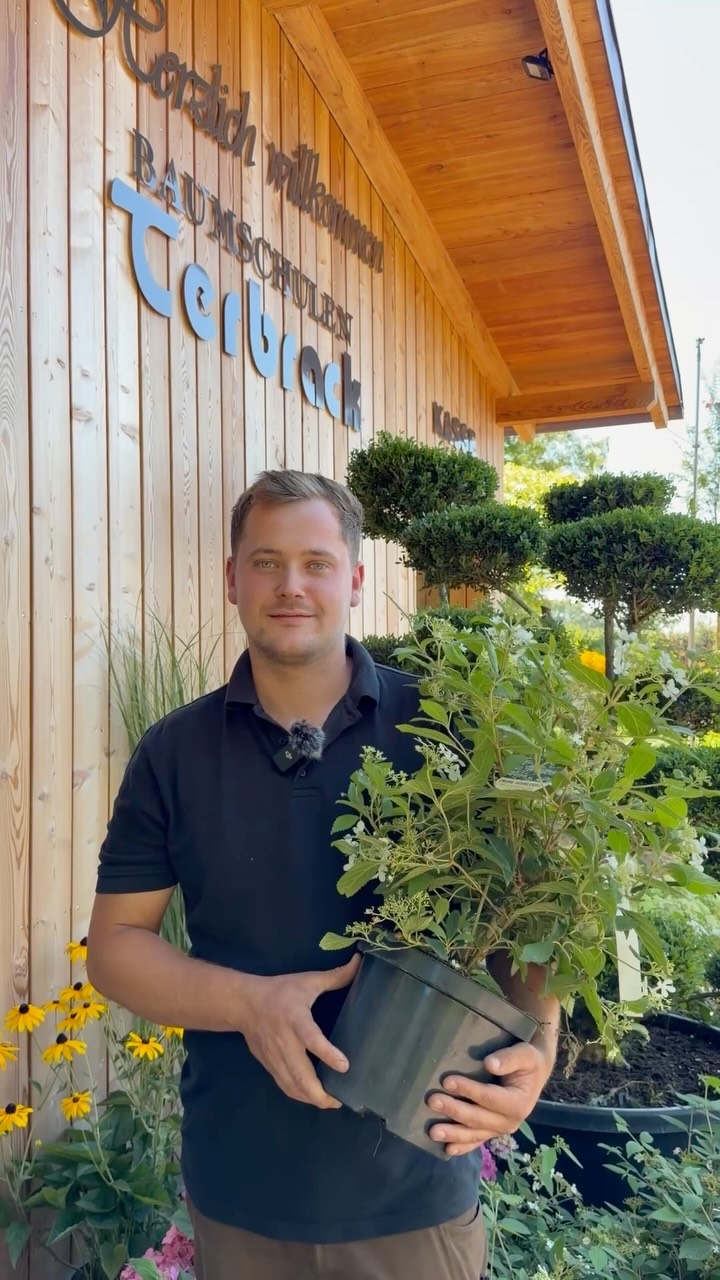 Was steckt eigentlich alles hinter Baumschulen Terbrack? 🌱
Von der eigenen Produktion im Freiland und auf unseren Containerflächen über moderne Technik bis hin zu einer stetigen Weiterentwicklung unserer Arbeitsweise – bei uns dreht sich alles um eines: gesunde, hochwertige Pflanzen. 🌳
Als Familienbetrieb verbinden wir dabei langjährige Erfahrung mit neuen Ideen und dem Anspruch, unsere Produktion immer weiterzuentwickeln.
Für Privatkunden, GaLaBau, Wiederverkäufer, Kommunen & Städte. 🤝
Schön, dass ihr da seid! 💚
#BaumschulenTerbrack #Baumschule #Ahaus #Münsterland #Gartenbau GaLaBau Pflanzen Familienbetrieb Pflanzenliebe
