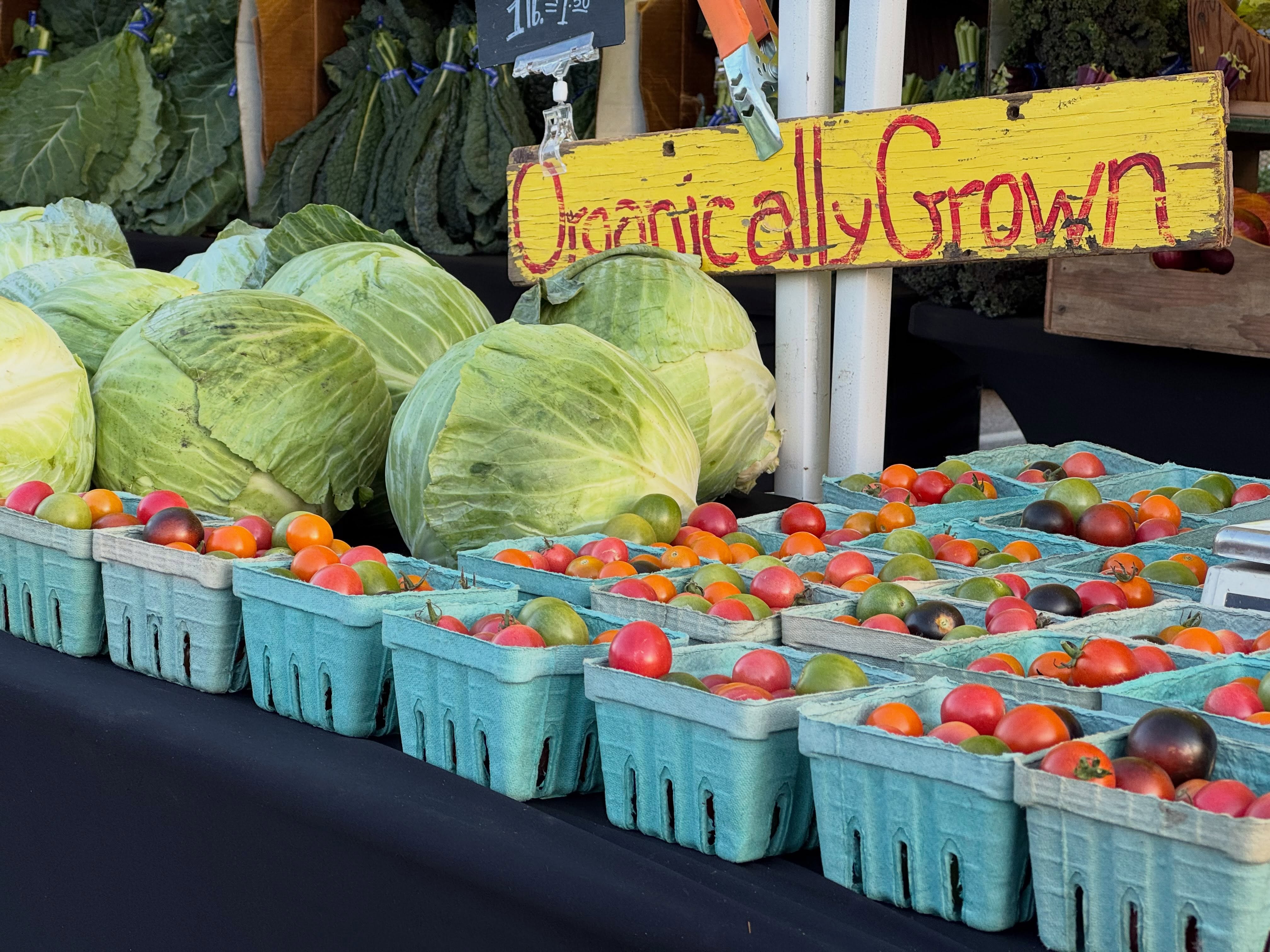 When our farmers say it’s locally grown, they mean it.
All of our farmers market vendors are within 50 miles of @mygrahampark and you get to see them every Saturday from 7:30-12pm! Who’s going to be there this weekend? Guess you’ll have to stop by and find out! 🥒🌽🧄🍅
What are you buying locally lately?
#rochfarmmkt #mnlife #rochmn #shoplocal #farmersmarket