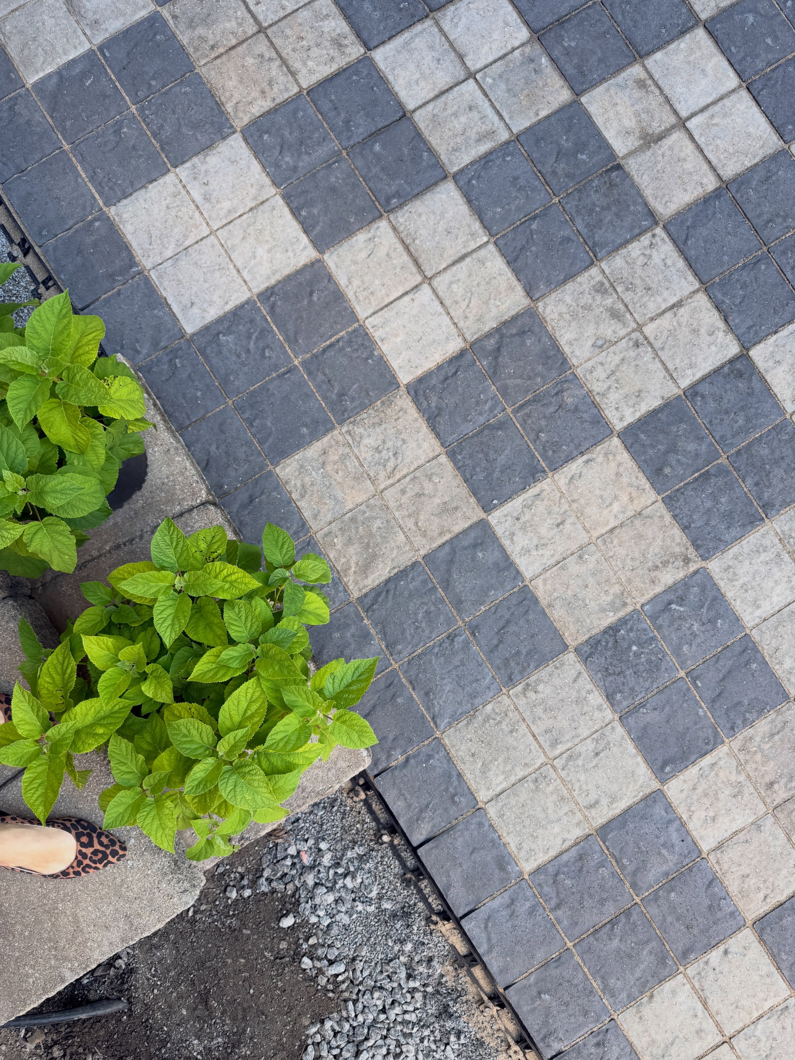 Nouvelle phase de travaux à nos bureaux et on ADOOOORE notre nouveau pavé! 🤍🩶🌳🍃
Merci à Pavé et béton Lavallée! 🫶🏼👷🏼♂️