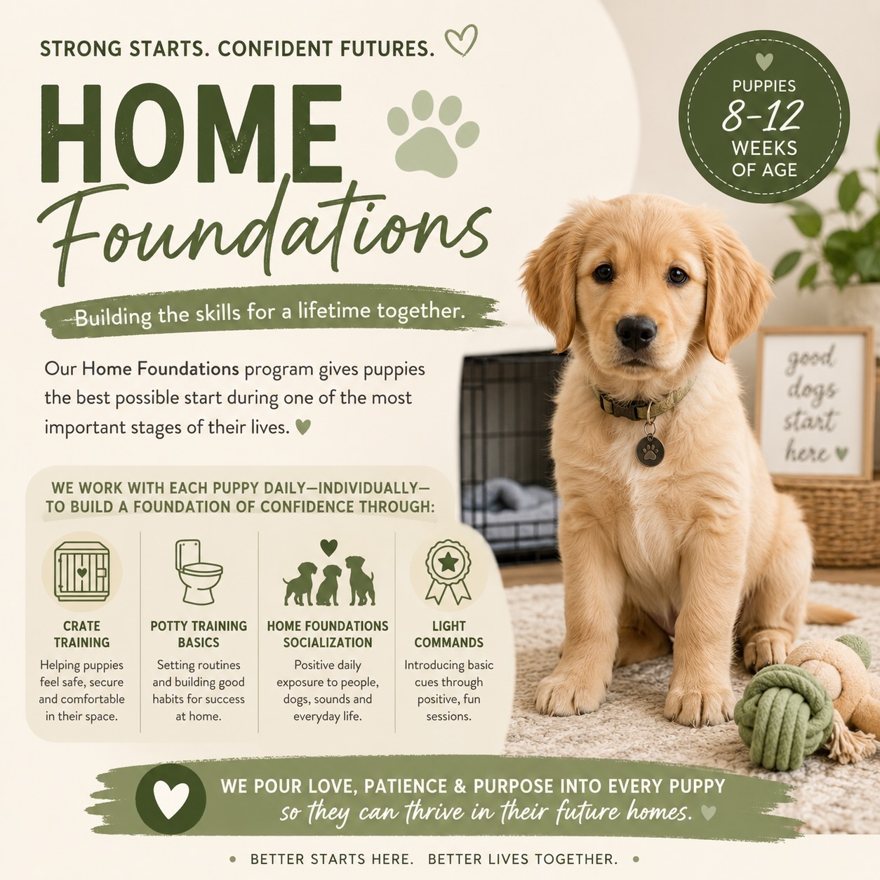 HOME FOUNDATIONS | Ages 8–12 Weeks
Those first few weeks at home matter.
Our Home Foundations Program gives families the option to have their pup stay with us from 8–12 weeks of age, giving them four additional weeks of intentional, individualized development before transitioning home.
Each pup works with us daily, one-on-one, focusing on:
* Crate training — building comfort and confidence spending time in the crate
* Potty training foundations — establishing a consistent routine and beginning good bathroom habits outside
* Home Foundations socialization — thoughtful exposure to everyday sights, sounds, surfaces, people, environments and experiences
* Light commands & manners — introducing simple cues and age-appropriate expectations through positive training
* Confidence & independence — helping puppies learn how to navigate new experiences and settle away from their littermates
At 8–12 weeks, puppies are still babies. We don’t promise a fully trained puppy at 12 weeks. Instead, our goal is to use this important developmental window to build the right foundation and make the transition into your home smooth.
Four weeks of individual attention.
Four weeks of intentional development.
A stronger start for a lifetime together.
Ask us about adding Home Foundations to your puppy’s adoption. We also now offer advanced obedience training and virtual training sessions. Message for more details.