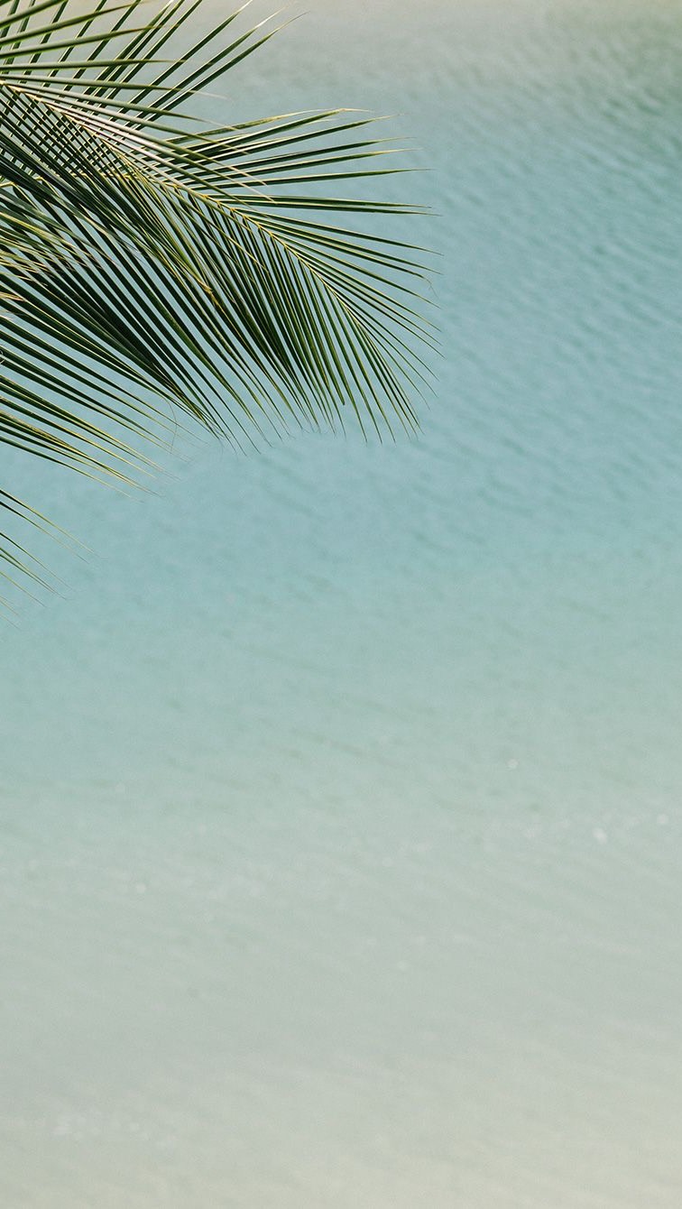 You can’t add more days to your life, but you can add more life to your days. 💙
That’s the luxury of Caribbean Club.
#caribbeanclub #slowliving #welcomehome #luxuryliving #visitcayman