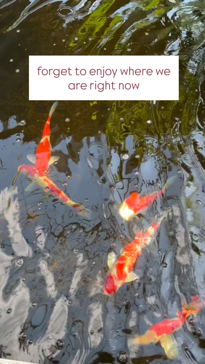 We spend so much time rushing towards the next thing that sometimes we forget to enjoy where we are right now.
I’m learning that slowing down takes practice too.
Pause. Look around. Take it in.
Because these ordinary little moments we rush through?
One day, they’ll be the moments we wish we could have back.#NLP #confidencecoach #lifecoach #womensuppirting women