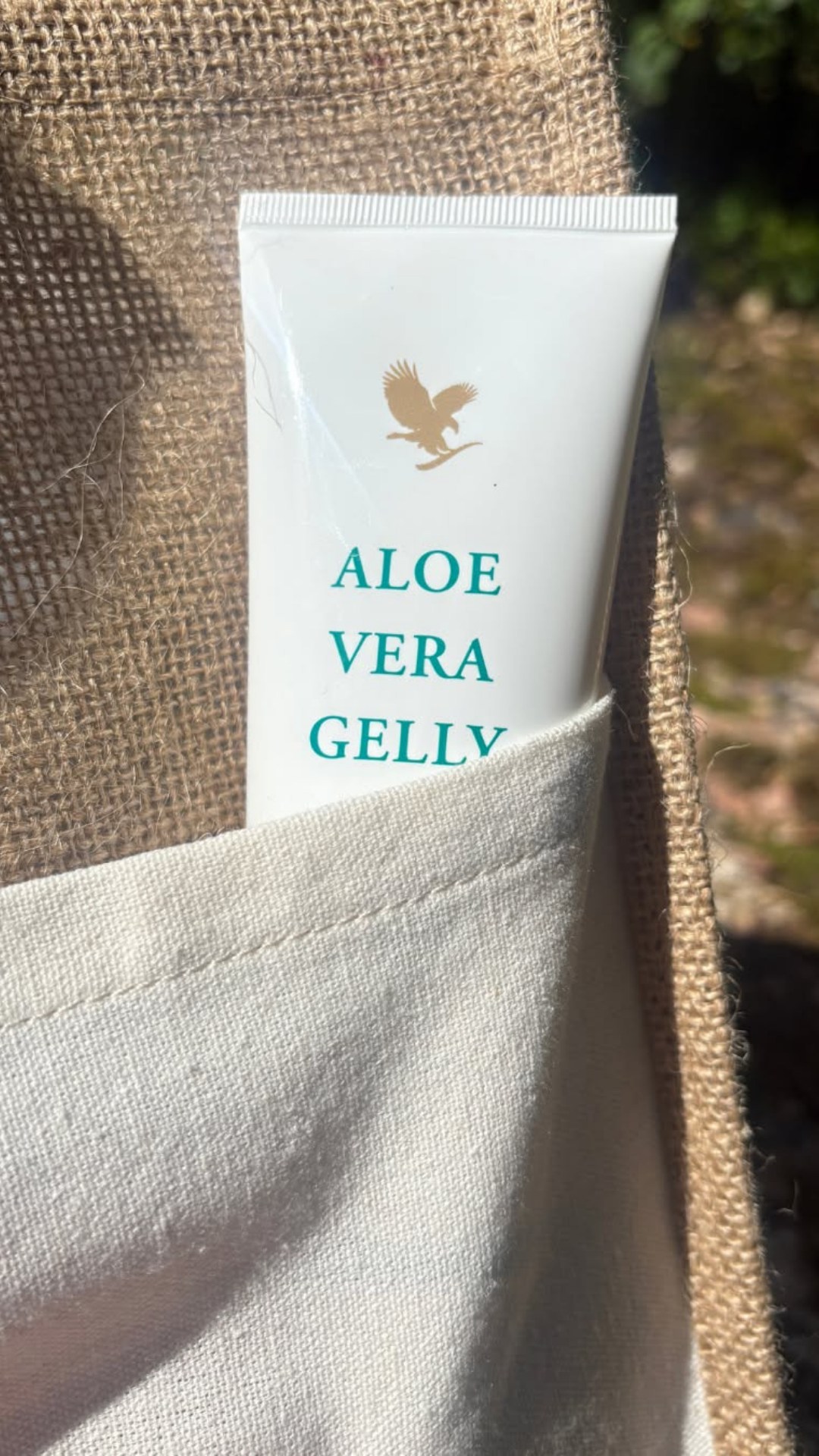 Allt um Aloe Vera Gelly