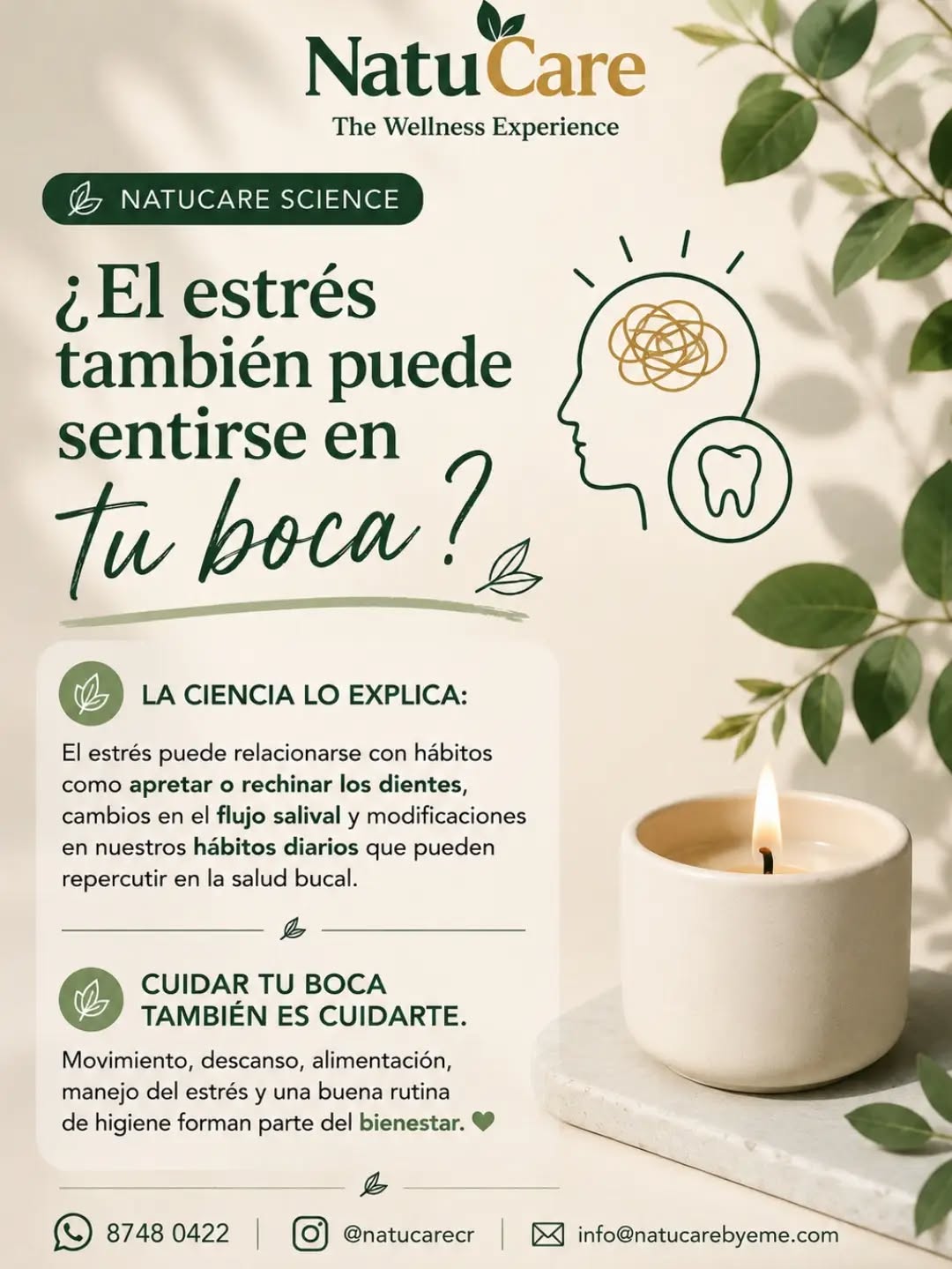 🌿 El bienestar también se refleja en nuestra boca.
El estrés forma parte de la vida cotidiana, pero cuando se mantiene puede influir en hábitos como apretar o rechinar los dientes y también en nuestra rutina de cuidado bucal.
Por eso, cuidar nuestra sonrisa va más allá del cepillado: descansar, movernos, alimentarnos bien y encontrar pequeños momentos de calma también forman parte del bienestar. 🤍
🔬 NatuCare Science
Naturaleza + ciencia + cuidado.
Lo natural no tiene que ser complicado.
📲 8748 0422
📧 info@natucarebyeme.com
Instagram: @natucarecr
#NatuCare #NatuCareScience #TheWellnessExperience #SaludBucal #Bienestar