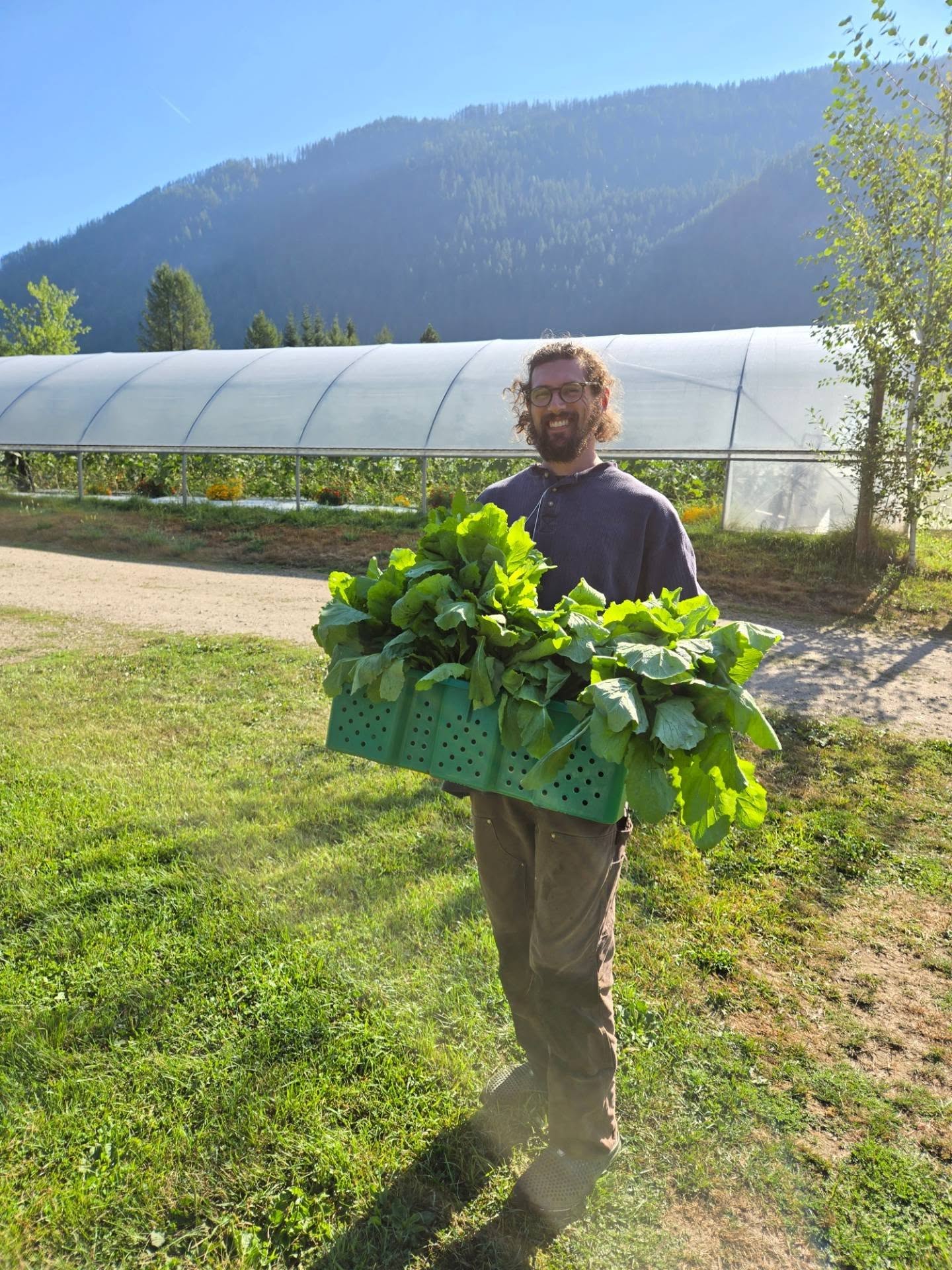 Harvest day and blue skies!!?! 💙 Psyche is high over here and radishes are BACK 👊 See ya at the @nelson.farmers.market tomorrow on Baker! 10am-2pm 🕺✌️
#kootenaycornergardens #blueskies #smilingfaces #harvestday #eatlocal