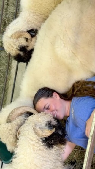 Morning cuddles at @themarshfieldfair 4H🩵💚