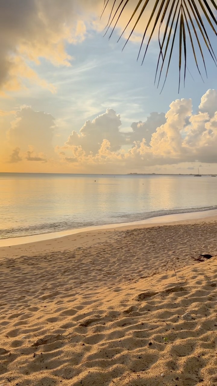 Some evenings don’t need an agenda.
That’s the luxury of Caribbean Club✨
#goldenhour #sunsetcolors #islandlife #visitcayman #slowliving