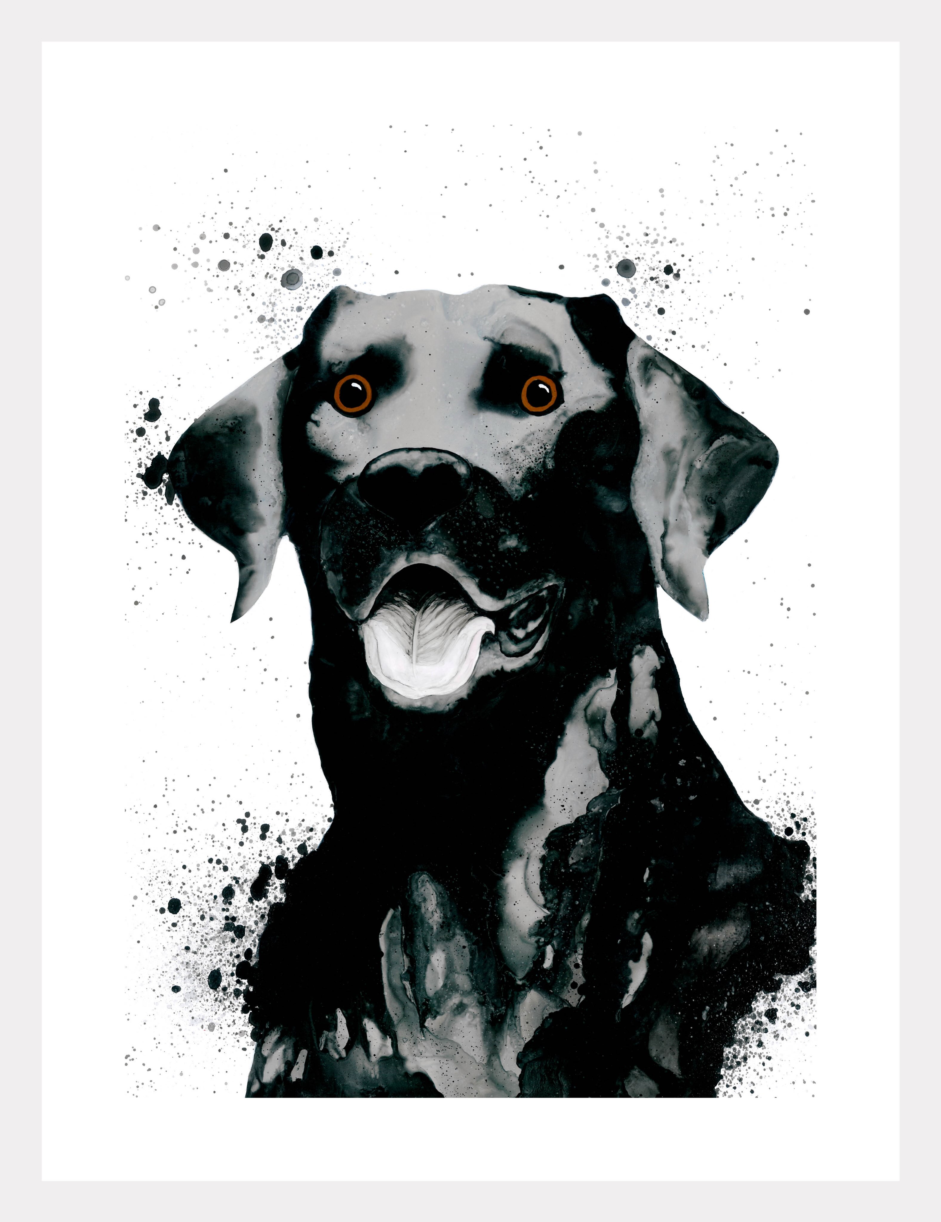 North
Original still available along with A4, A3 and A2 prints, see website in bio for details
#alcoholinkartist #animals #labrador #freelanceartist #puppy