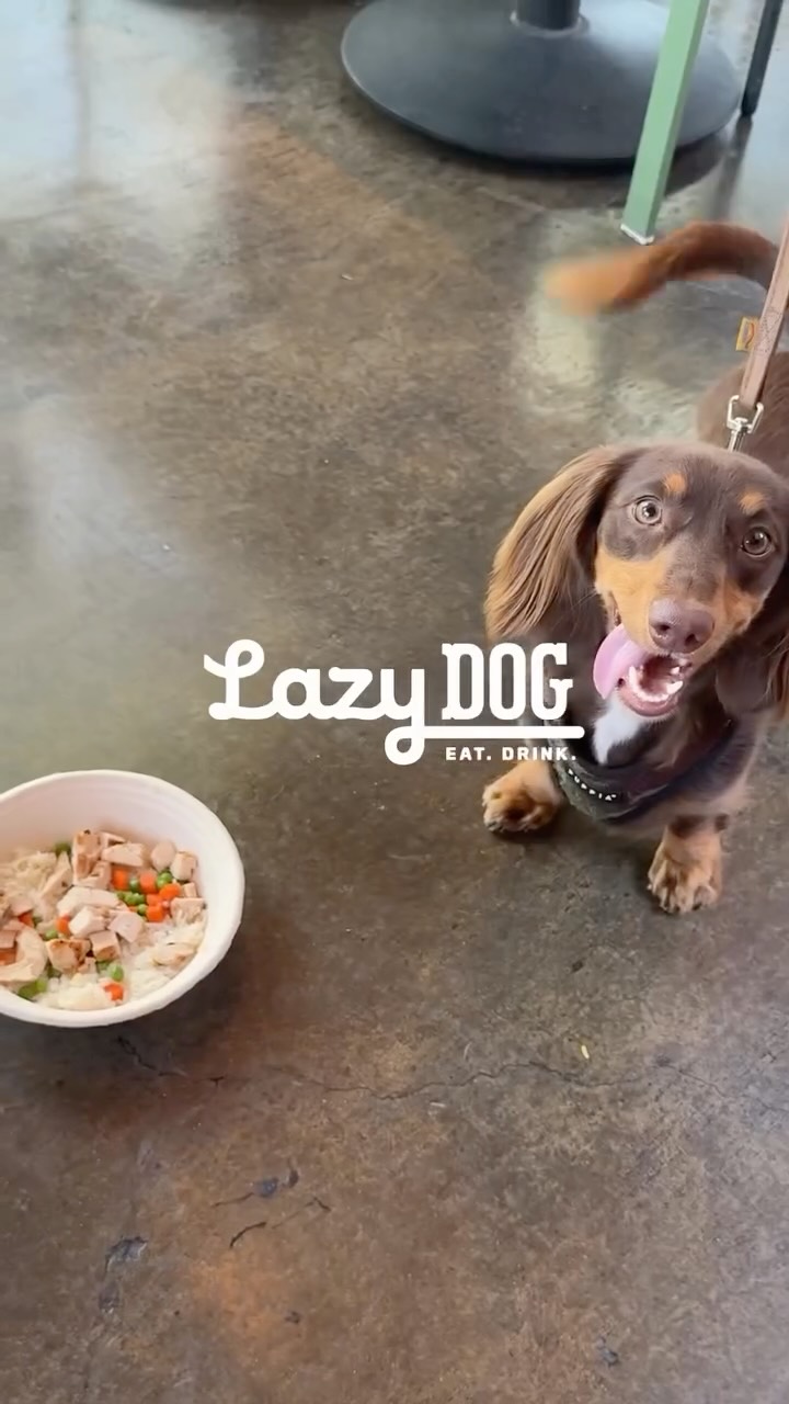 🐶🎉 Celebrate your pup at @lazydogrestaurants this Wednesday, August 26, for National Dog Day! The first 50 dogs get a FREE Lazy Dog bandana while supplies last. 🐾
Plus, every Dog Bowl purchased helps support @petpartners with a $1 donation. 🐕❤️
Good food, happy pups, and a pawsome cause? Now that’s something to wag about! 🐾🍴
#stadiumpromenade #letseatoc #lazydogrestaurant #nationaldogday #puplovers