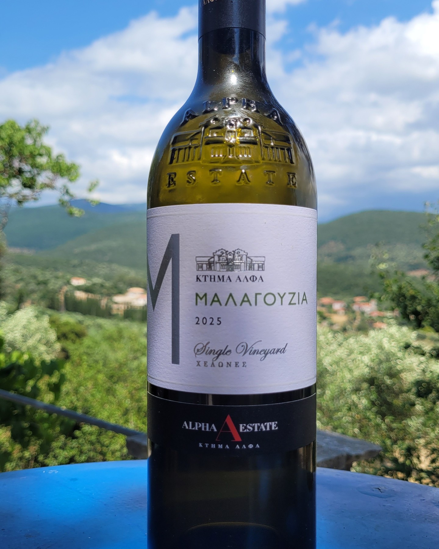 An Alpha white you don't need to wait two years for.
Alpha Estate Malagouzia “Turtles” 2025 – PGI Florina | 92/100 🍷
Alpha Estate (@alpha_estate) in high-altitude Amyndeon is among Greece’s most technically accomplished wineries, and its Malagouzia “Turtles” (named for the turtles nesting by the vines at 670 m) is a flagship. Two nearby lakes temper the climate, ripening this aromatic, once near-extinct variety slowly. It sees no oak, built on cold maceration, brief skin contact, stainless fermentation and two months on lees, so the creaminess is fruit and lees, not wood. Around €13.
Malagouzia’s picking date is delicate, and Yiannis Karakasis (@yianniskarakasismw) put it well: below ~13.2% the fresh citrus leads; above 13.5% the terpenes turn muscaty and the variety loses typicity, the herbal-floral notes belonging to cooler sites. Turtles is one of Greece’s coolest zones, so this wine is herbal-floral by nature.
2025 was warm and sunny enough for ripe fruit, with cool nights for freshness, where the wet 2020 came in greener at a bare 13%. The alcohol step alone explains little; the whole weather pattern pushed the green back, bringing peach, pome fruit and blossom forward without tipping into muscat, at the window’s upper edge. Curious whether the tightrope act comes off, I tasted it.
Lovely pome fruit on the nose, almost as peachy as Gerovassiliou (@ktima_gerovassiliou), with fine white blossom. On the palate all Malagouzia, barely herbal now; a pleasant acidity carries far before the lees-driven creaminess takes over. A long, coherent finish. I’m quite floored.
Alpha’s whites often seem to need two more years to show best. Not here; this drinks perfectly already. A very clear 92 points, no reason to wait.
A much more detailed review lives in our site’s tasting-note database of 500+ Greek wines.
Save this for the next time you want a Greek white you can open tonight.
#GreekWine #Malagouzia #WinesOfGreece #GreekWhiteWine #AromaticWhite