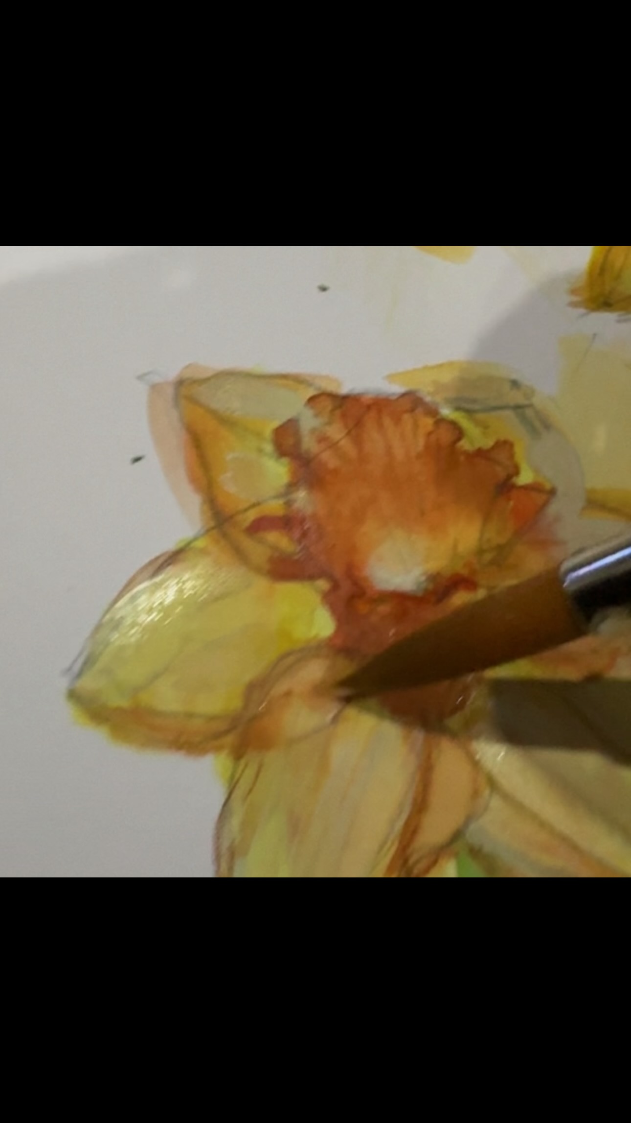 Had a great play with some mixed media still life compositions today, bit of painting, drawing and collage. Thinking a fun new workshop could be in order in the next few weeks. No more than 6 people, in my studio on the coast. PM if you’re keen. I’ll post pics of finished works when I’m done. Tonight I’m just having a play with water colours.
#littleredcabooseartgallery #mixedmedia #orepuki #artworkshop #stilllife