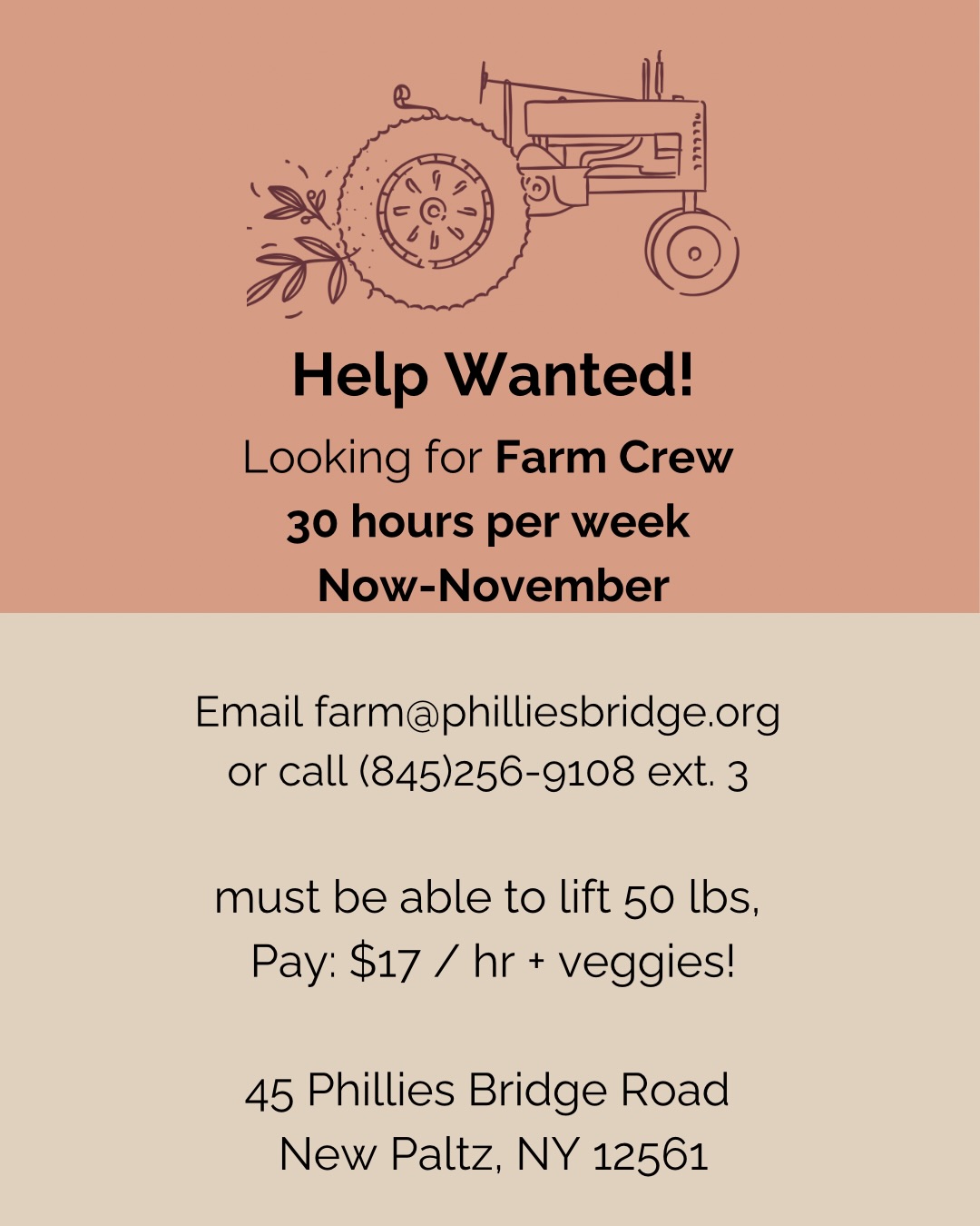*****update! The position is filled! Thank you all for sharing********* Do you want to join our kick ass team of 5 strong women?! We’re looking for additional help for the fall, around 30 hours per week from now until mid-November. This is the most beautiful part of the season and it’s a great opportunity for anyone who loves working outdoors rain or shine. Some farming experience is preferred, but not required. Could also be two 15 hour per week positions depending on interest.