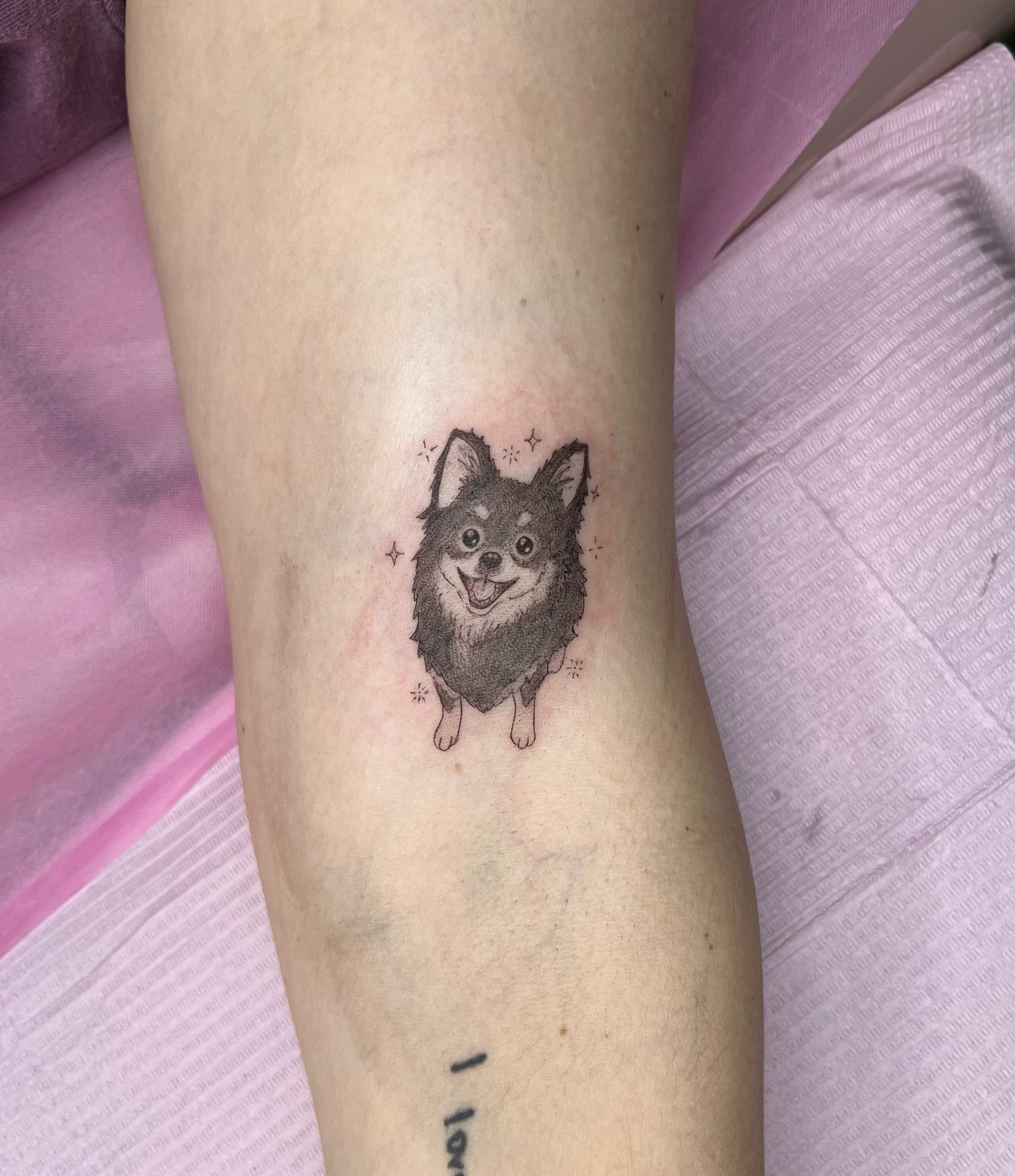 Cutest Ghibli pet portraits by artist Roxie (@roxietattoos ) ๐ submit a consultation to book with Roxie! ๐ฆ๐
.
.
.
#tattoo #petportrait #studioghibli #anime #animetattoo