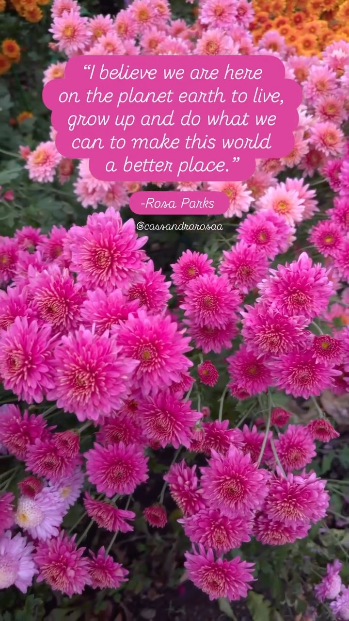 What a message to share! I resonate with it deeply! 🩷
I too think it’s important to do what we can to make this world a better place.
We aren’t hear by accident and have an opportunity to uncover the unique mission we have for being here.
It often is connected to what we have conquered and grown from.
The challenges we have gone through and how we overcame them have cheat codes, tools and lessons we can share with others that are going through them too.
That way we can help guide them through what we have overcame and inspire them to do what they can for others too. ✨
Are you aware of your mission? What can you do to make this world a better place?
Share it with us 👇🏼
