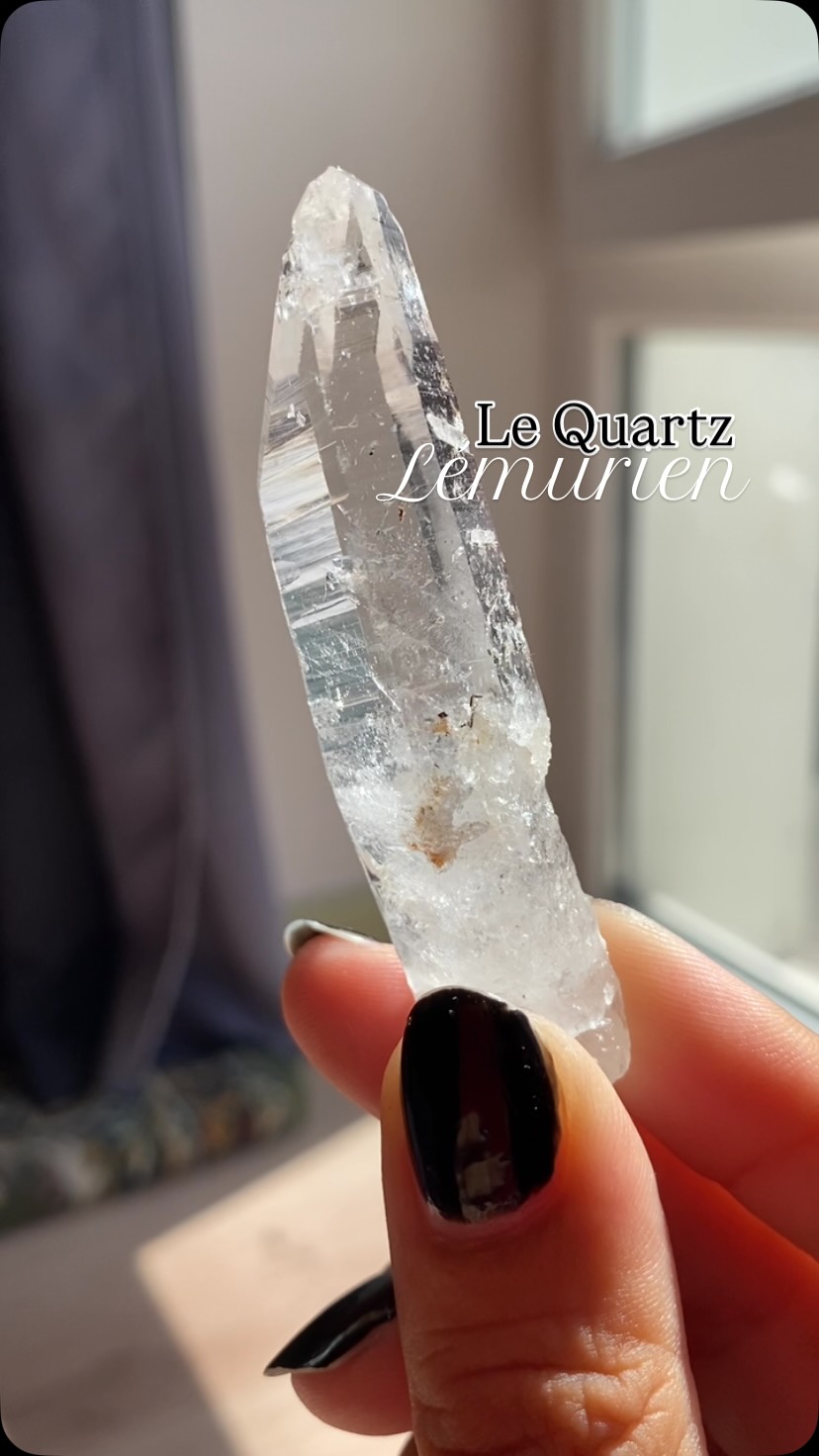 🏔️Issu des terres vertigineuses de l’Himalaya, chaque quartz lémurien porte en lui la mémoire millénaire des sommets.
📜Ses stries horizontales, gravées comme les pages d’un livre ancien, racontent l’histoire d’une sagesse oubliée. On dit de ces cristaux qu’ils ne sont pas simplement taillés par la Terre, mais scellés par l’esprit de la Lémurie pour transmettre une connaissance pure, une reconnexion profonde à notre intuition.
🙌🏼En laissant glisser tes doigts sur ses facettes brutes et transparentes, tu n’observes pas seulement une pierre : tu entres en résonance avec une fréquence de guérison, d’alignement et de clarté absolue.
Une invitation à ralentir, à écouter, et à laisser la lumière de l’altitude éclairer ton chemin. ✨
#quartz #lemurianquartz #lemuriancrystal